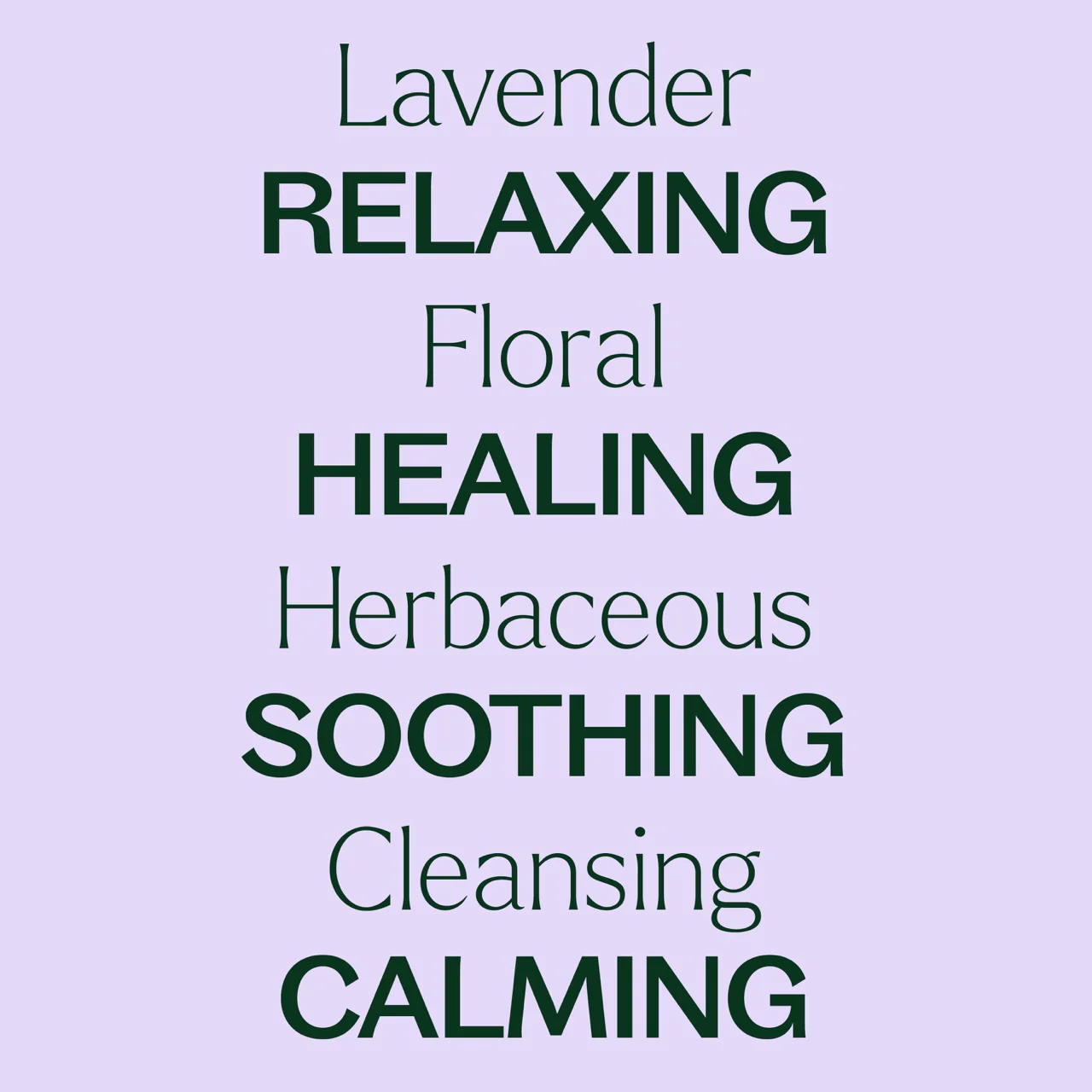 Lavender Essential Oil - Image 5