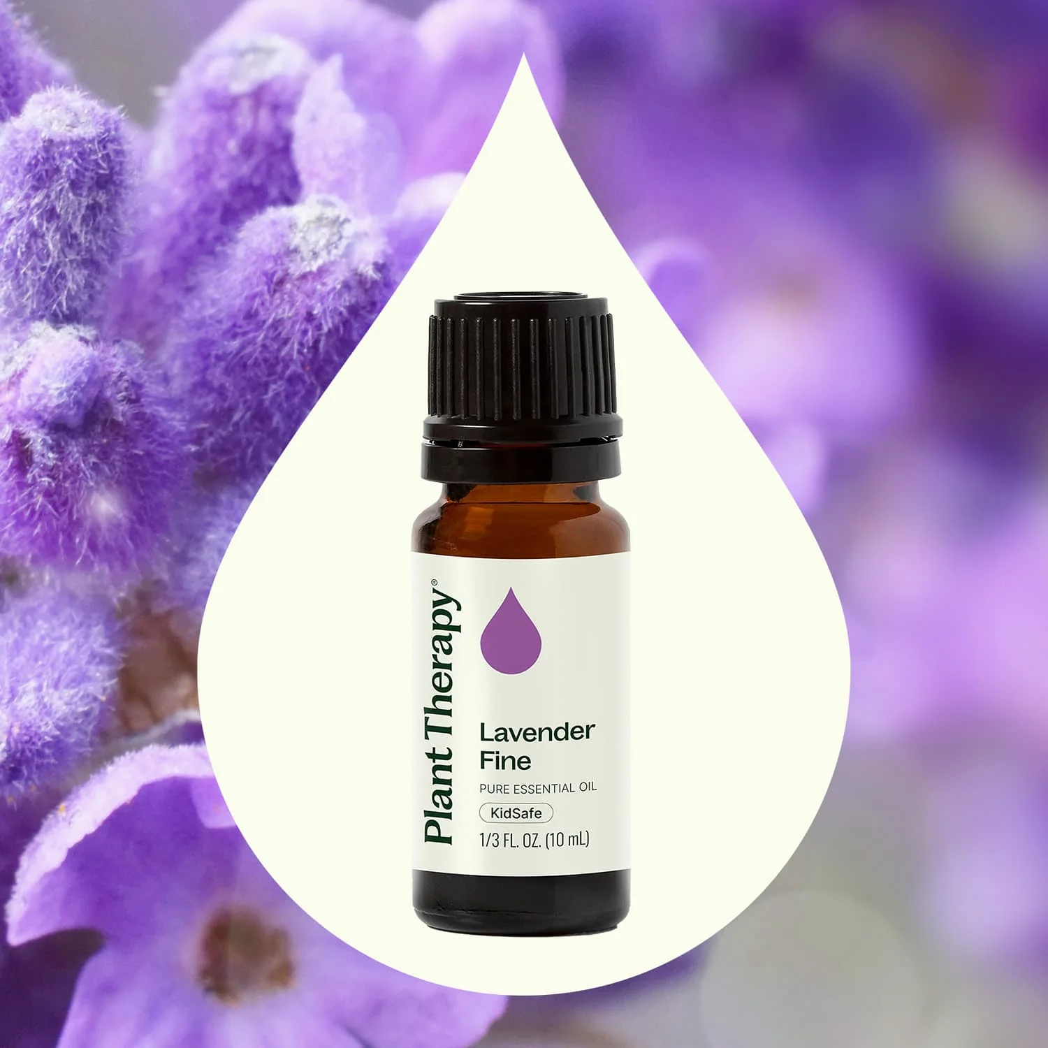 Lavender Fine Essential Oil - Image 5