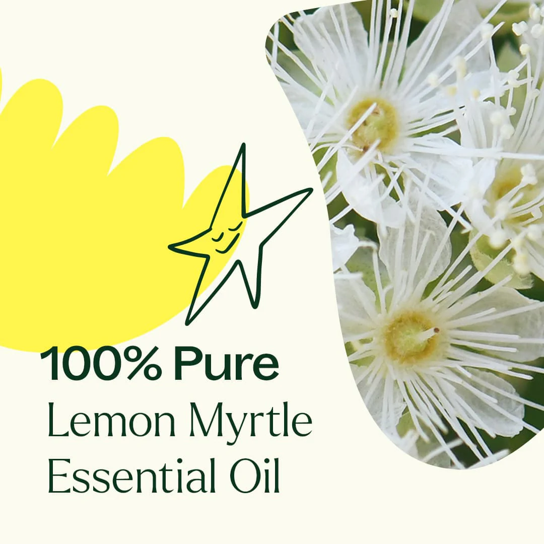 Lemon Myrtle Essential Oil - Image 4