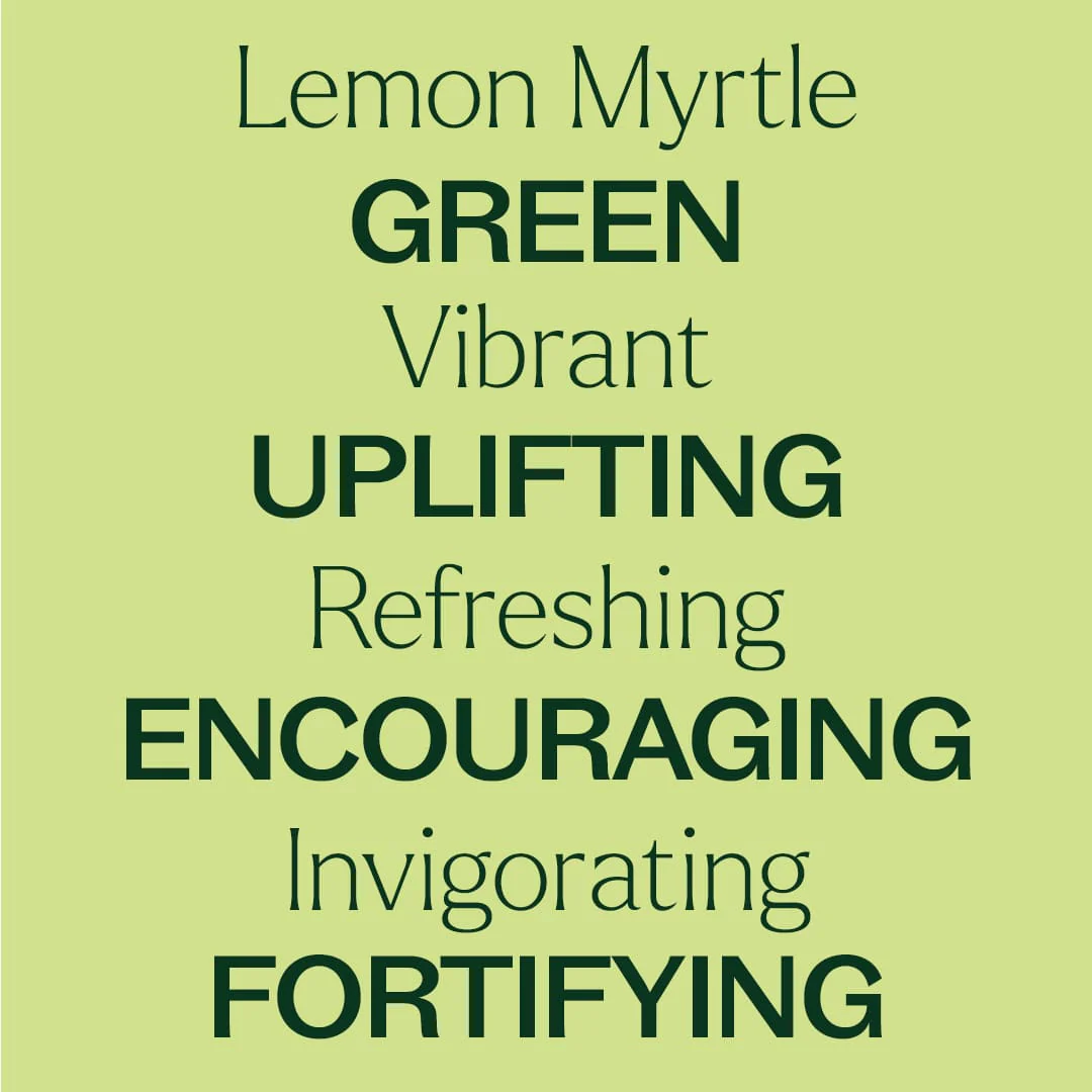 Lemon Myrtle Essential Oil - Image 5