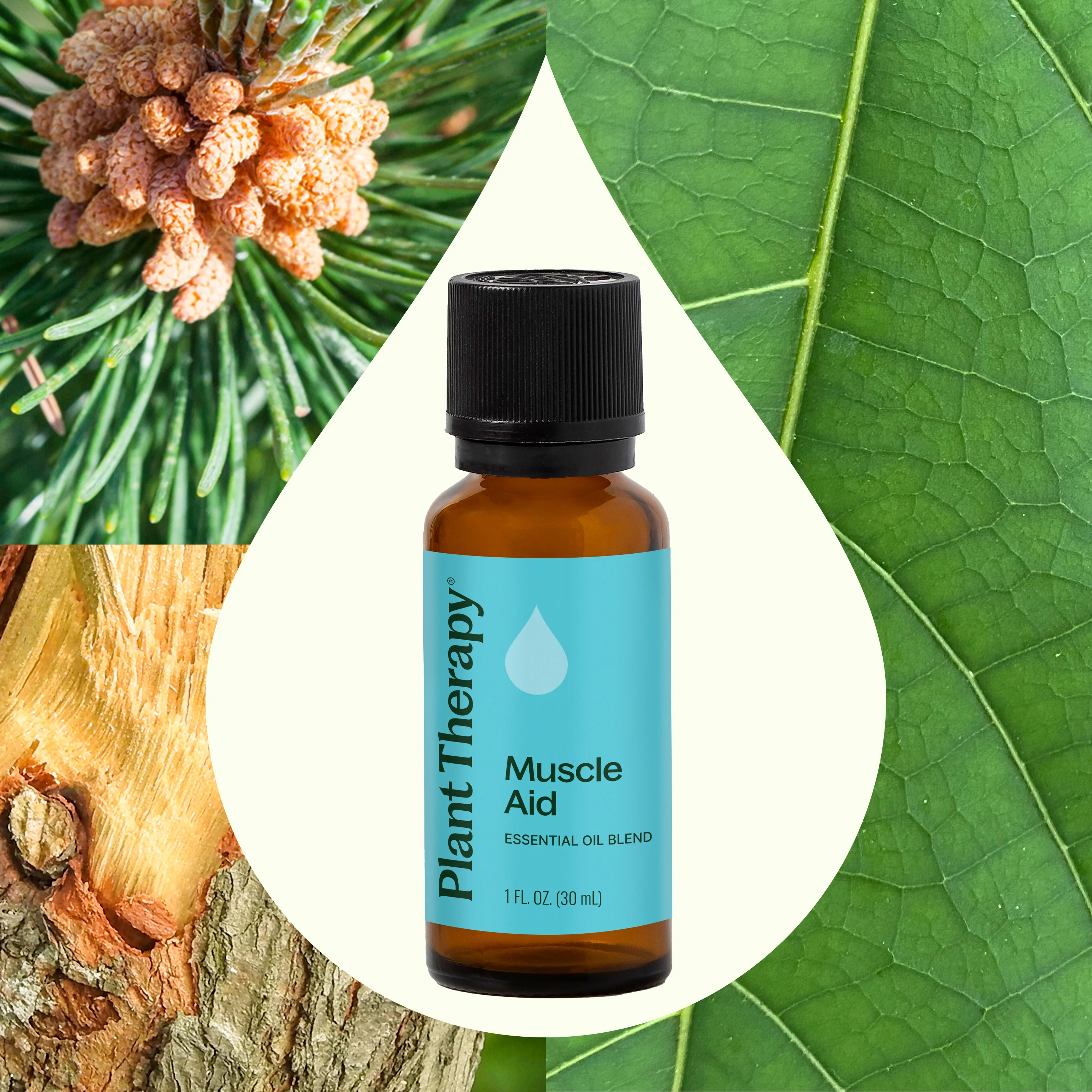 Muscle Aid Essential Oil Blend - Image 3