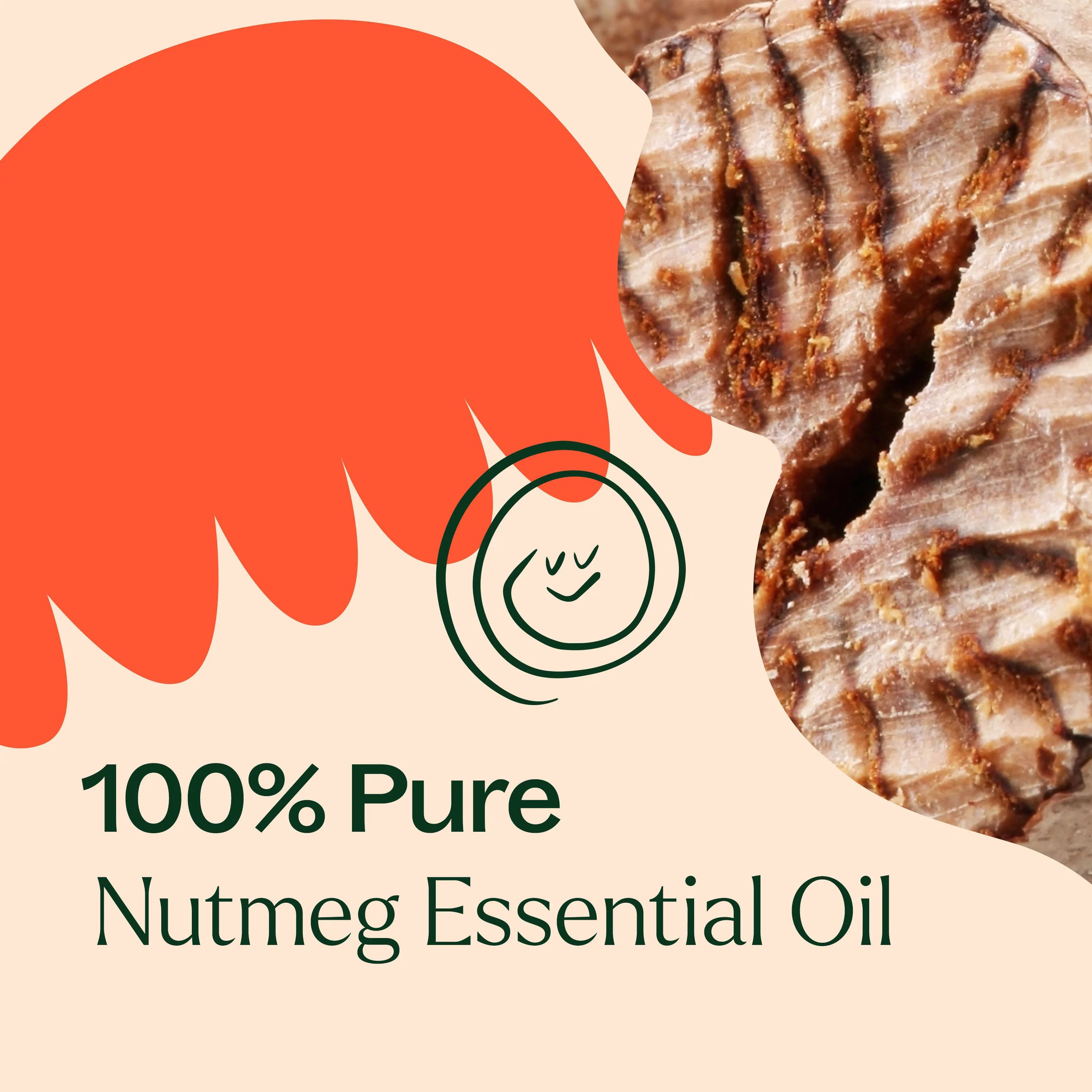 Nutmeg Essential Oil - Image 4