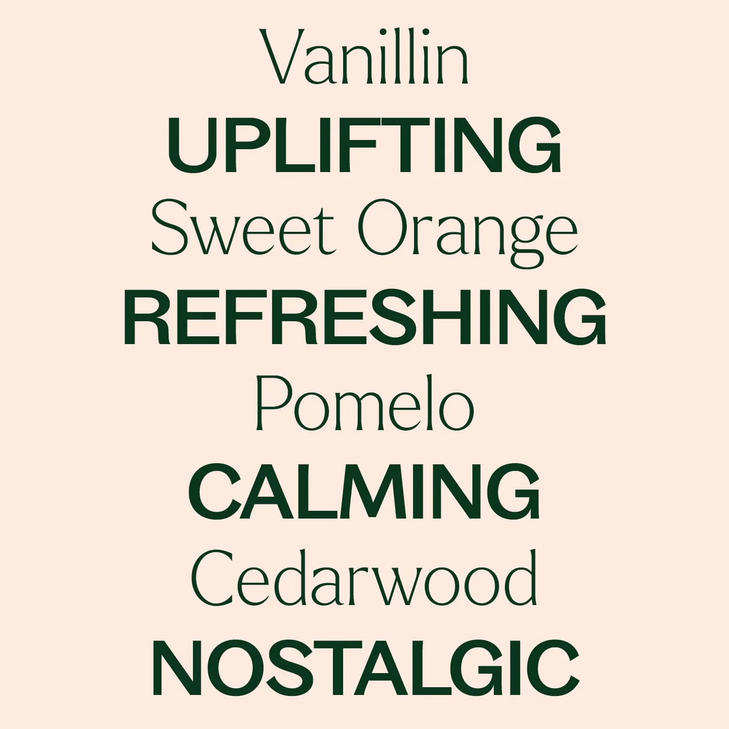 Orange Cream Essential Oil Blend - Image 4