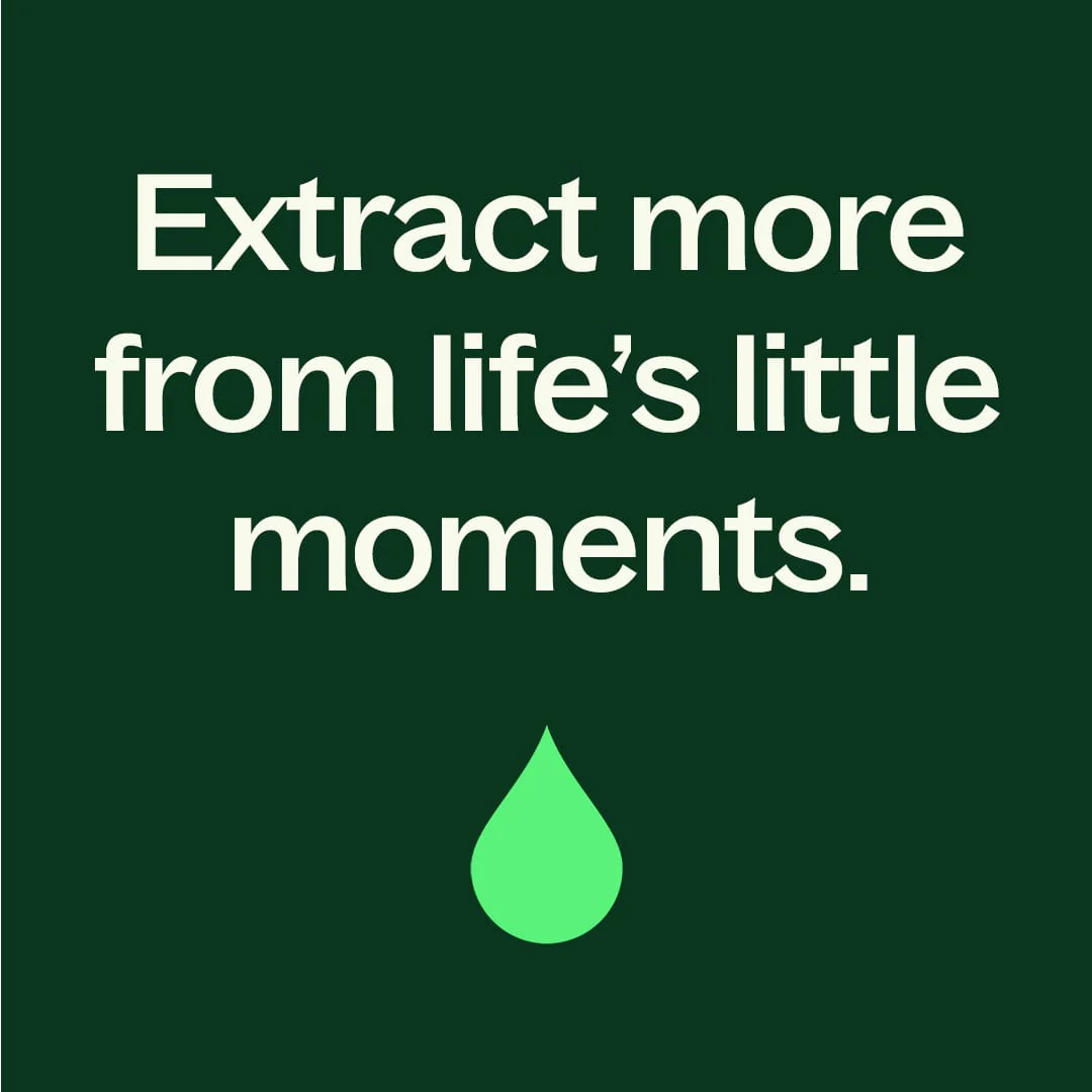 Organic Black Pepper Essential Oil - Image 8
