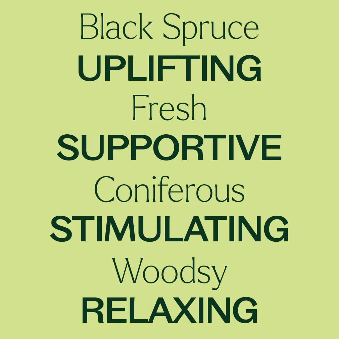 Organic Black Spruce Essential Oil - Image 5