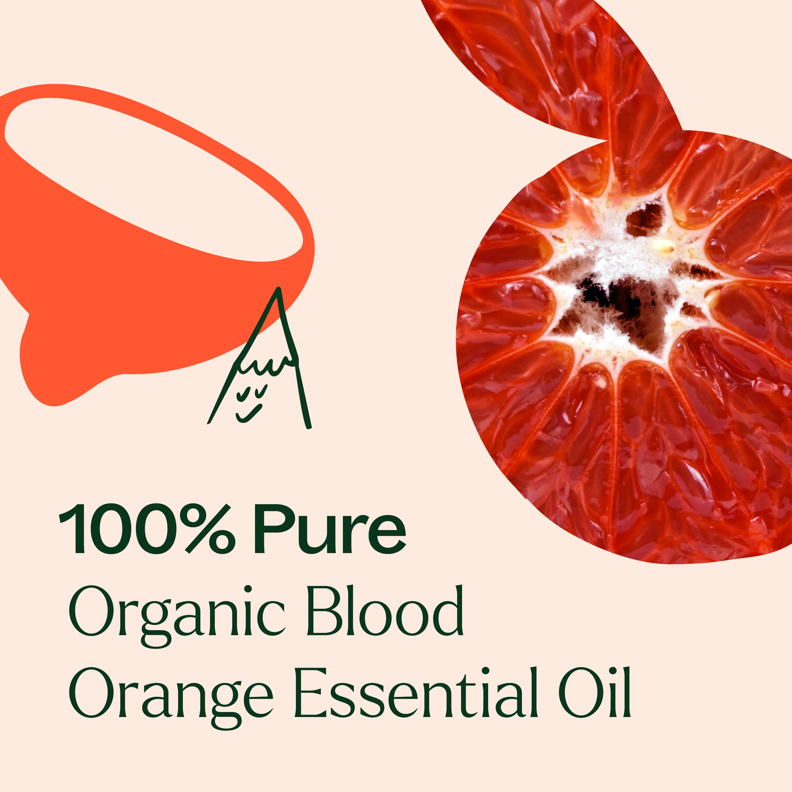 Organic Blood Orange Essential Oil - Image 6