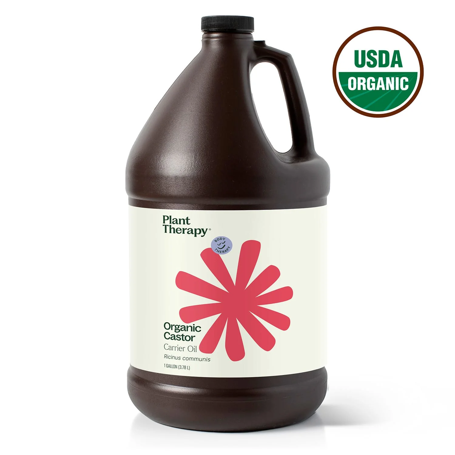 Organic Castor Carrier Oil Bulk