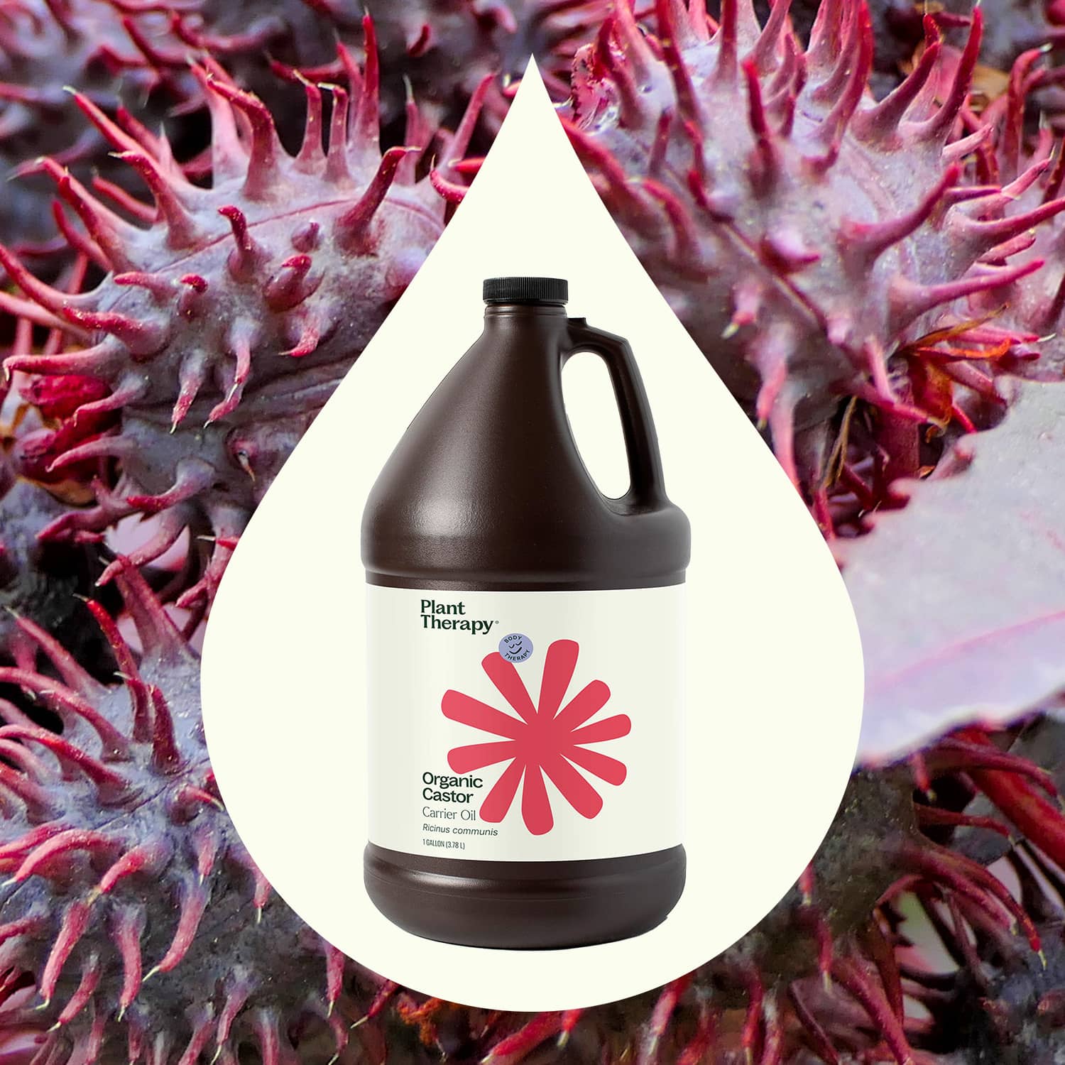 Organic Castor Carrier Oil Bulk - Image 2