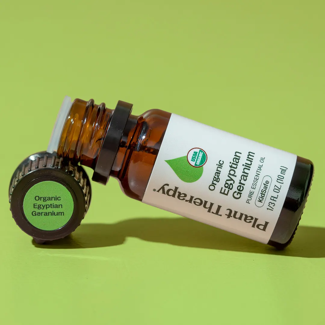 Organic Egyptian Geranium Essential Oil - Image 11