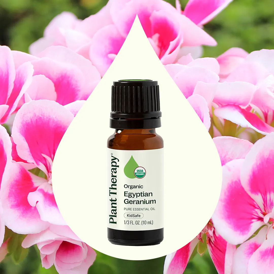 Organic Egyptian Geranium Essential Oil - Image 3