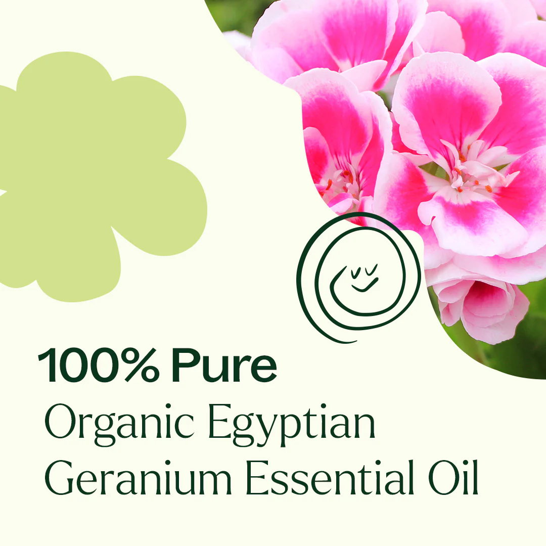Organic Egyptian Geranium Essential Oil - Image 8