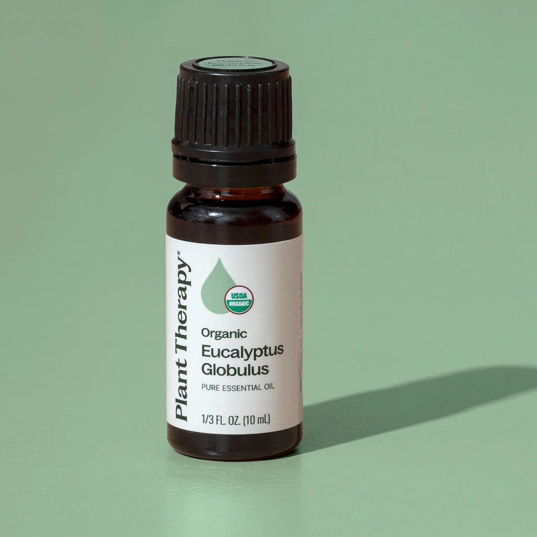 Organic Eucalyptus Globulus 5-Pack - Image 6
