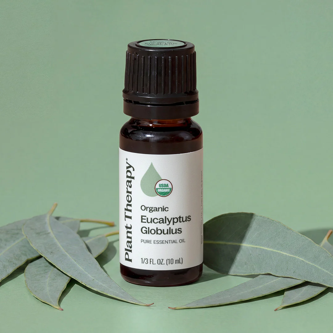 Organic Eucalyptus Globulus Essential Oil - Image 3