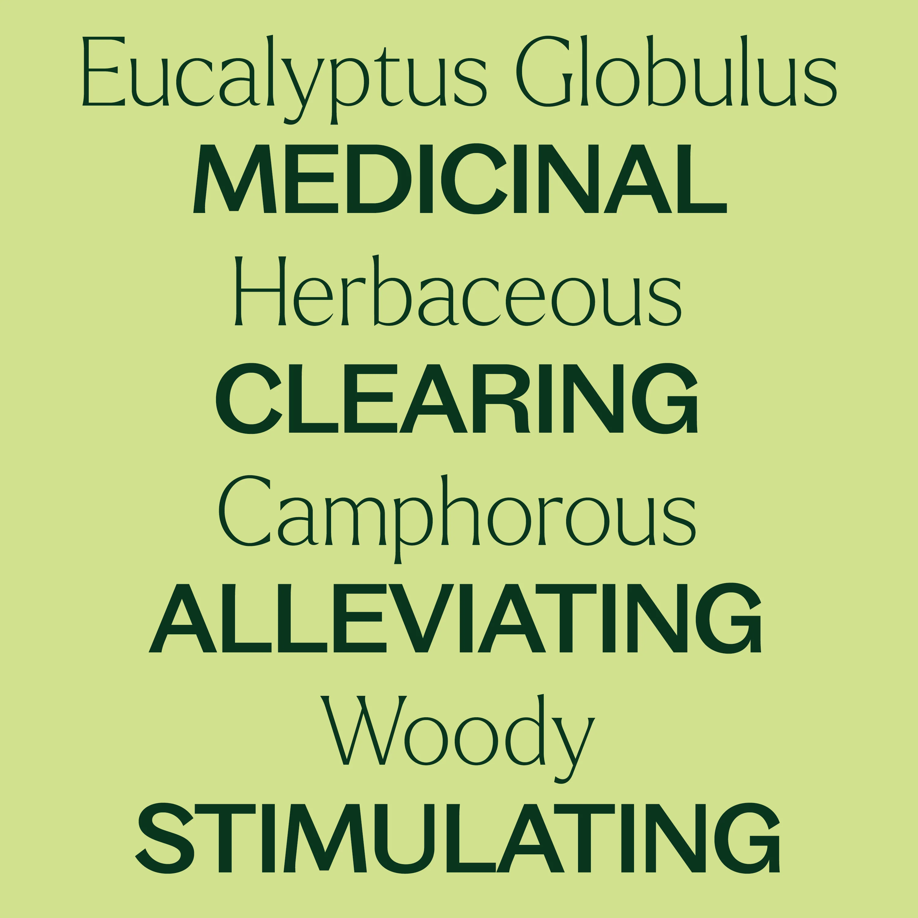 Organic Eucalyptus Globulus Essential Oil - Image 5