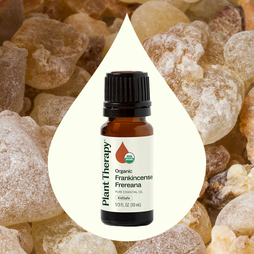 Organic Frankincense Frereana Essential Oil - Image 2