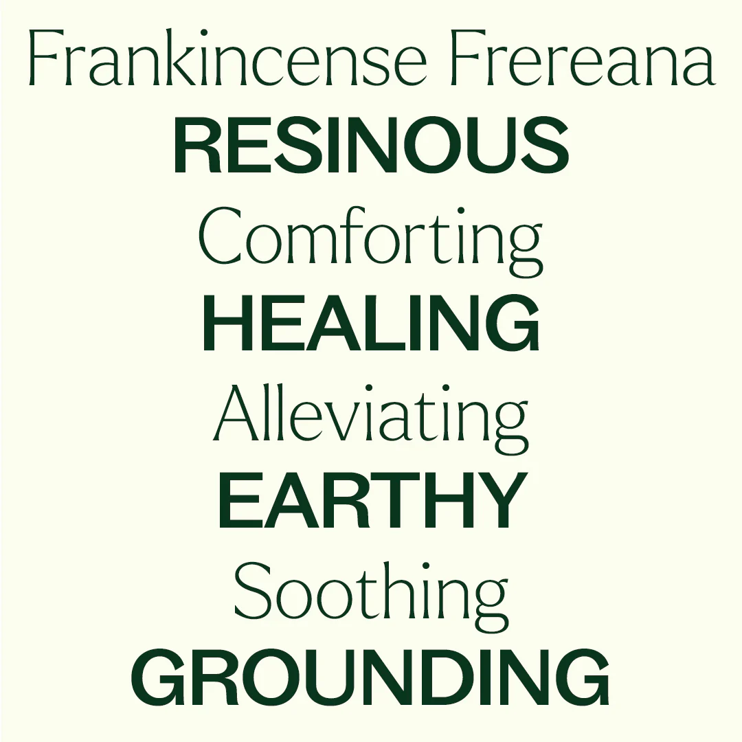 Organic Frankincense Frereana Essential Oil - Image 6