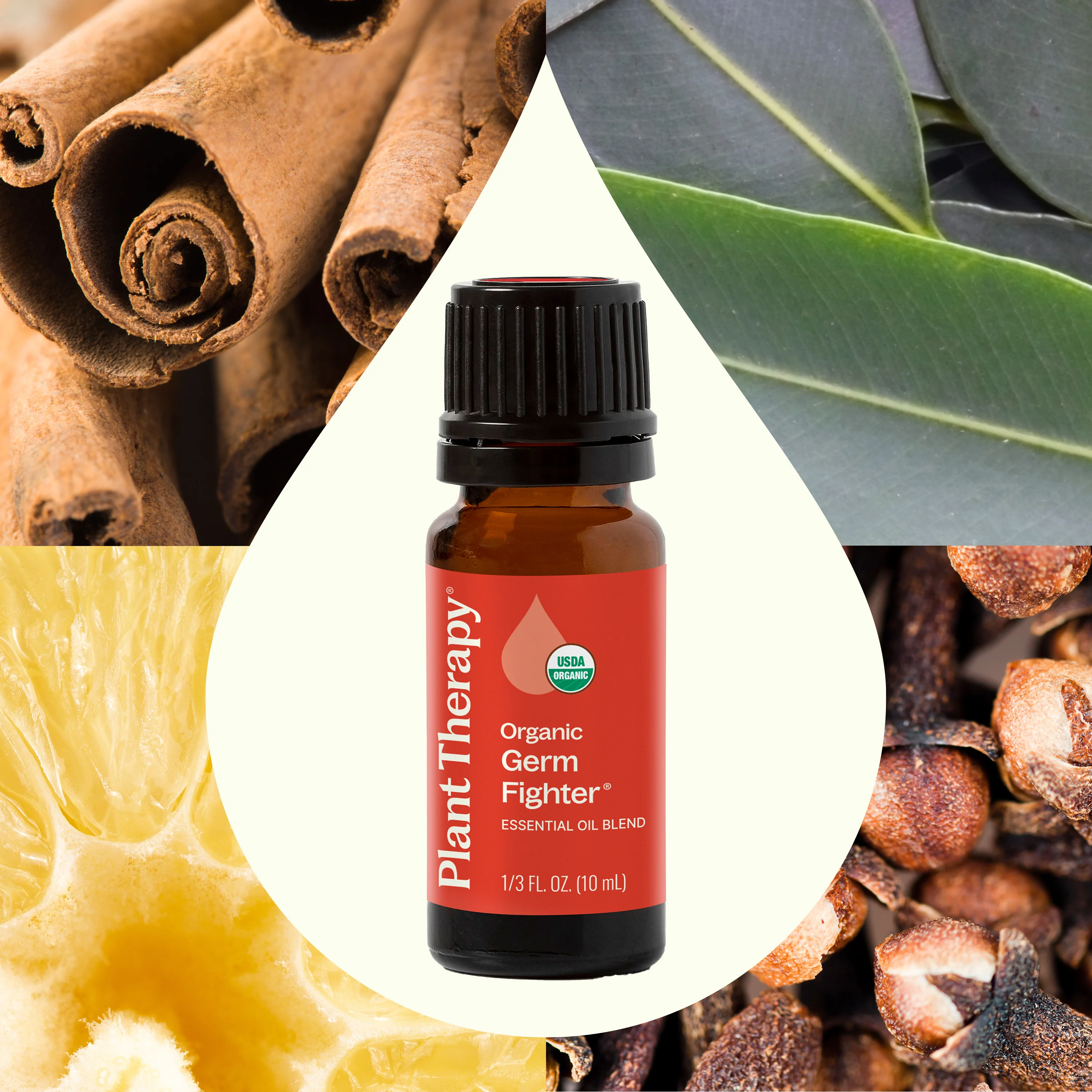 Organic Germ Fighter Essential Oil - Image 5