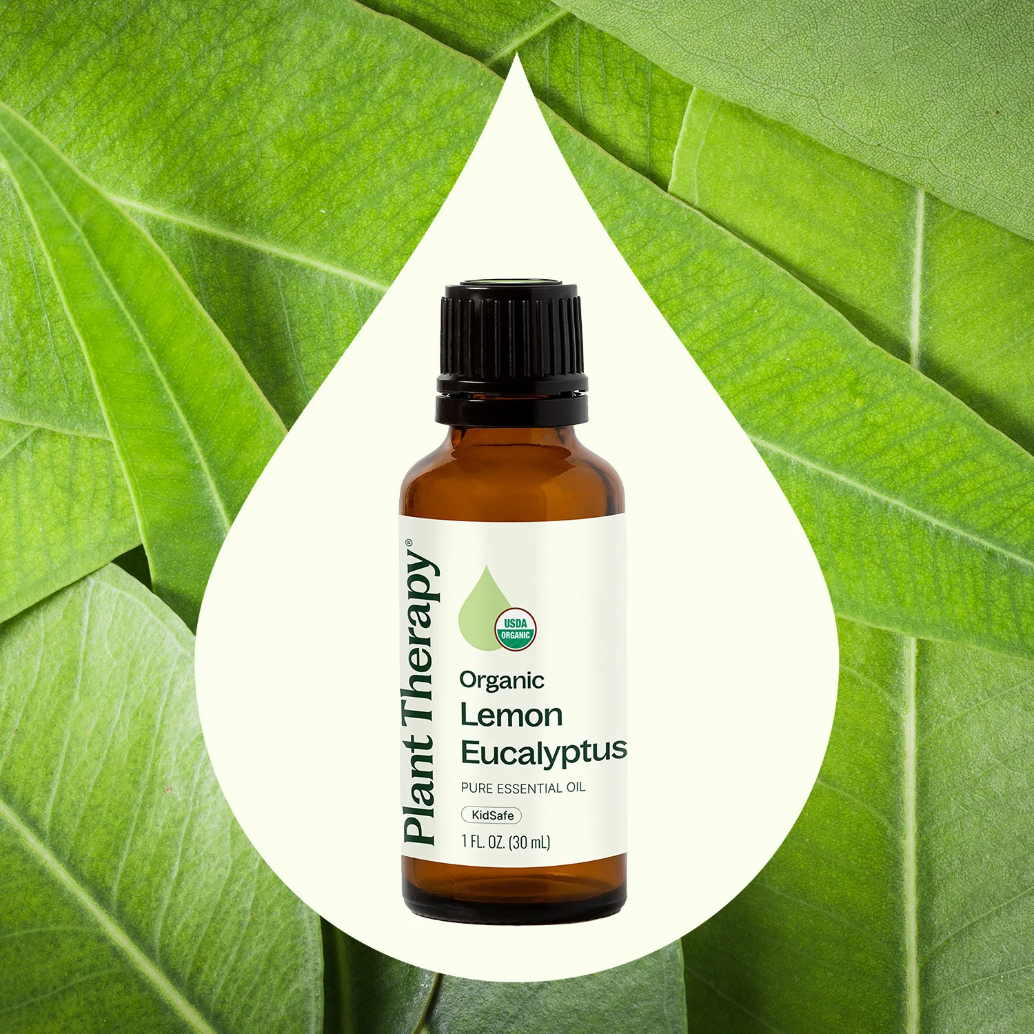 Organic Lemon Eucalyptus Essential Oil - Image 8