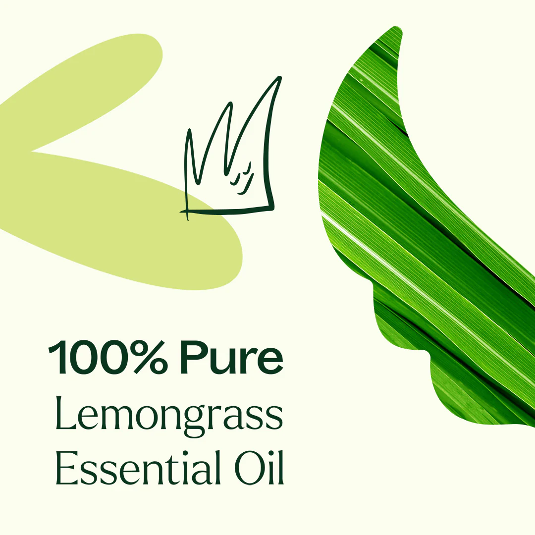 Organic Lemongrass Essential Oil - Image 3
