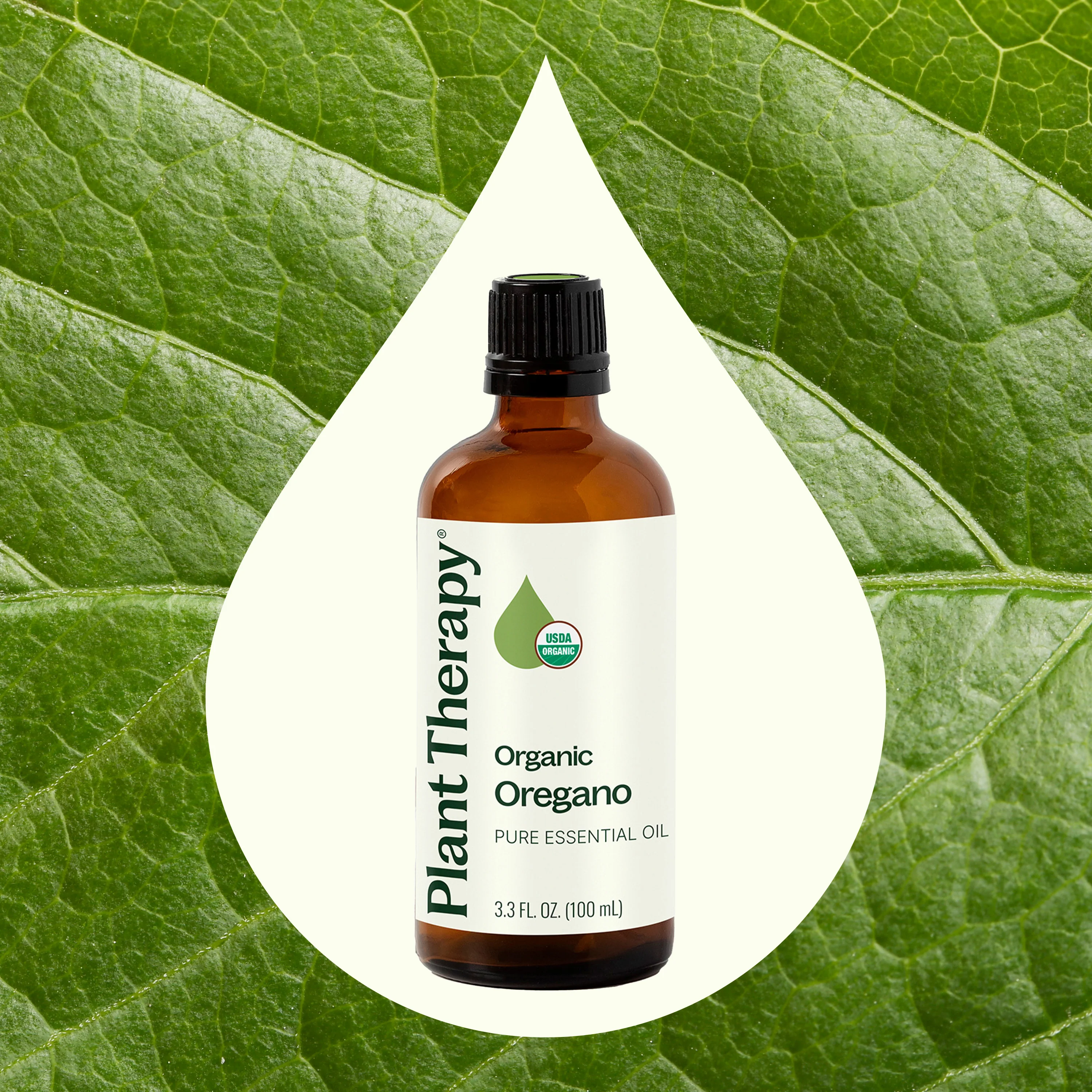 Organic Oregano Essential Oil - Image 10