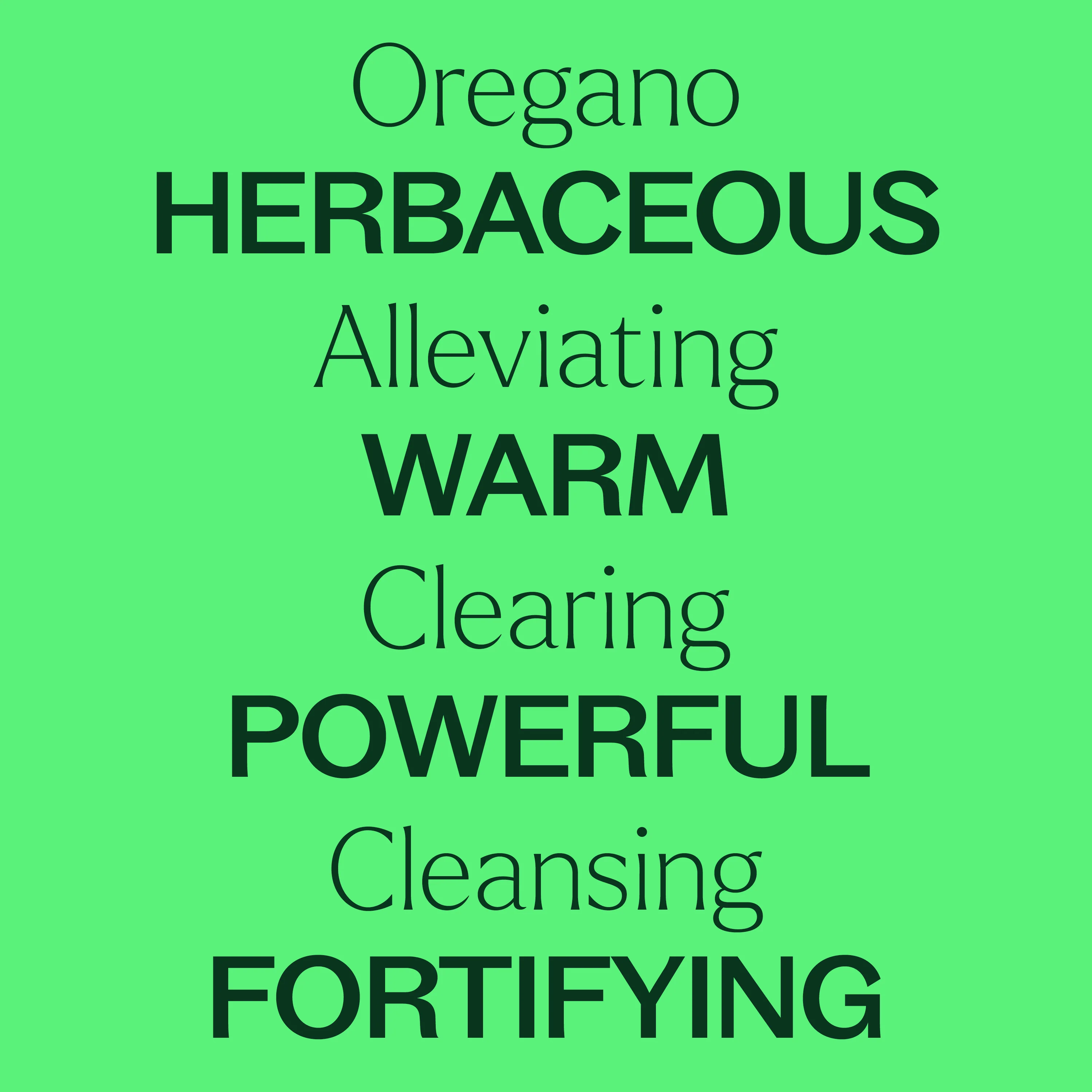 Organic Oregano Essential Oil - Image 3