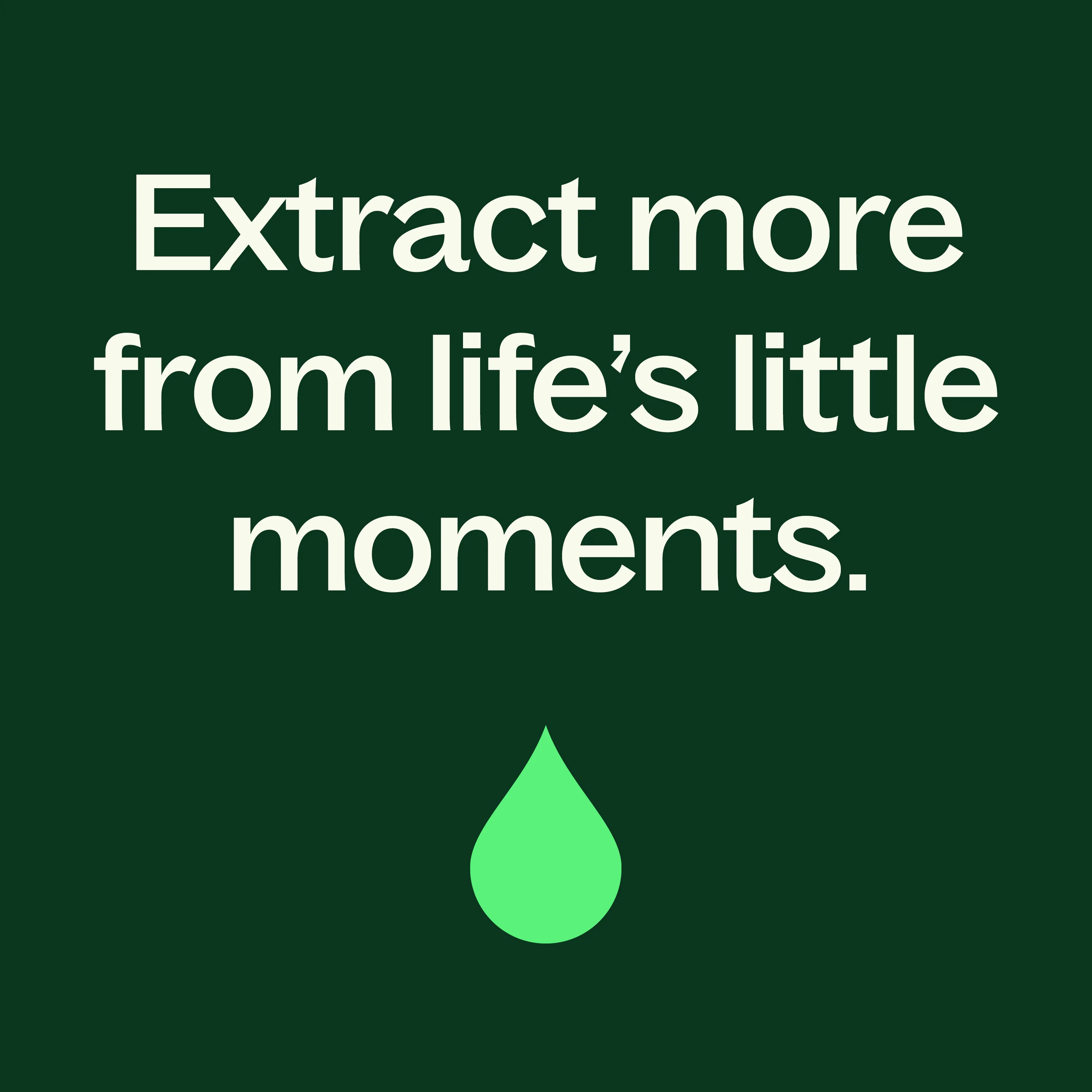 Organic Peppermint 5-Pack - Image 9