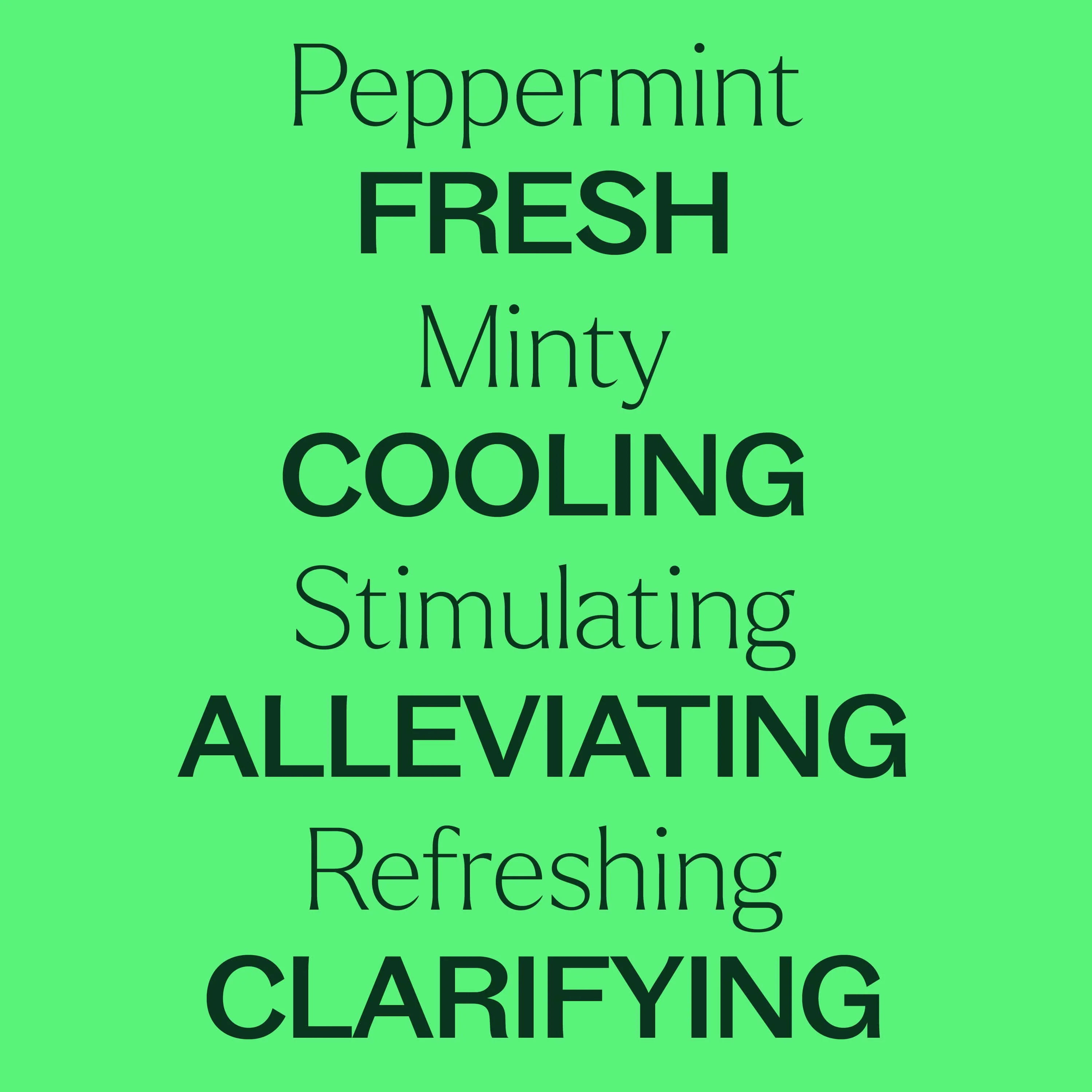 Organic Peppermint Essential Oil - Image 4