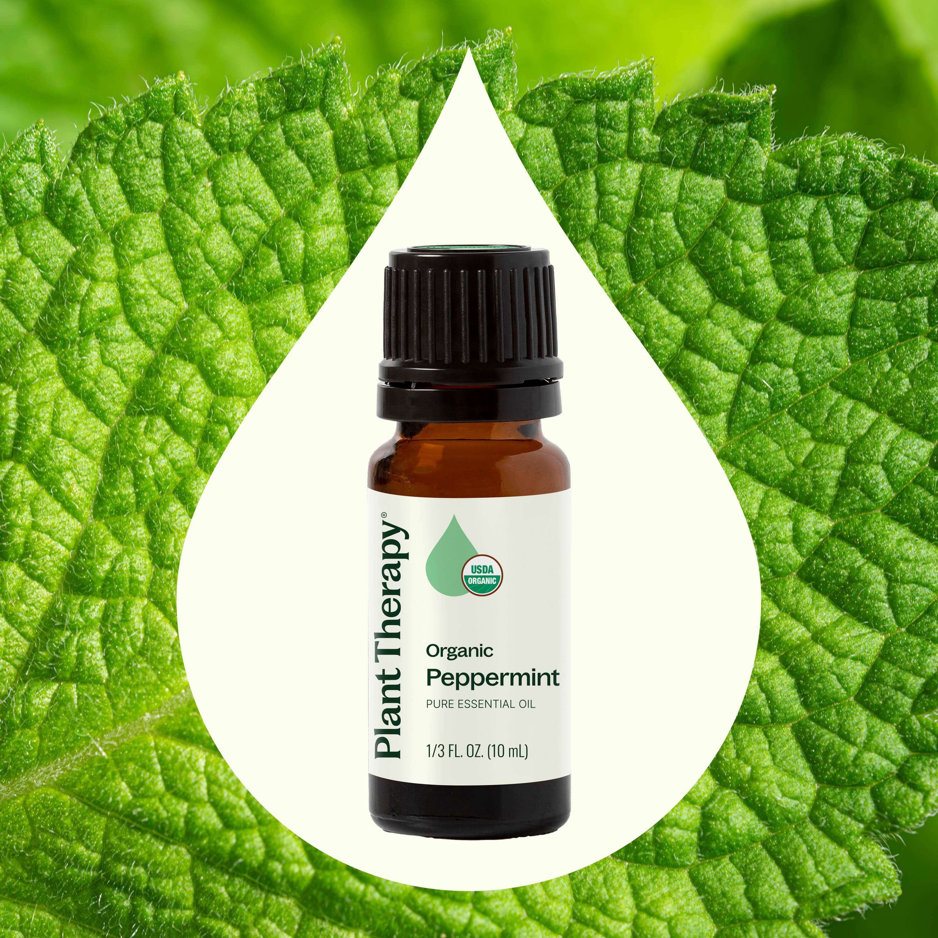 Organic Peppermint Essential Oil - Image 5