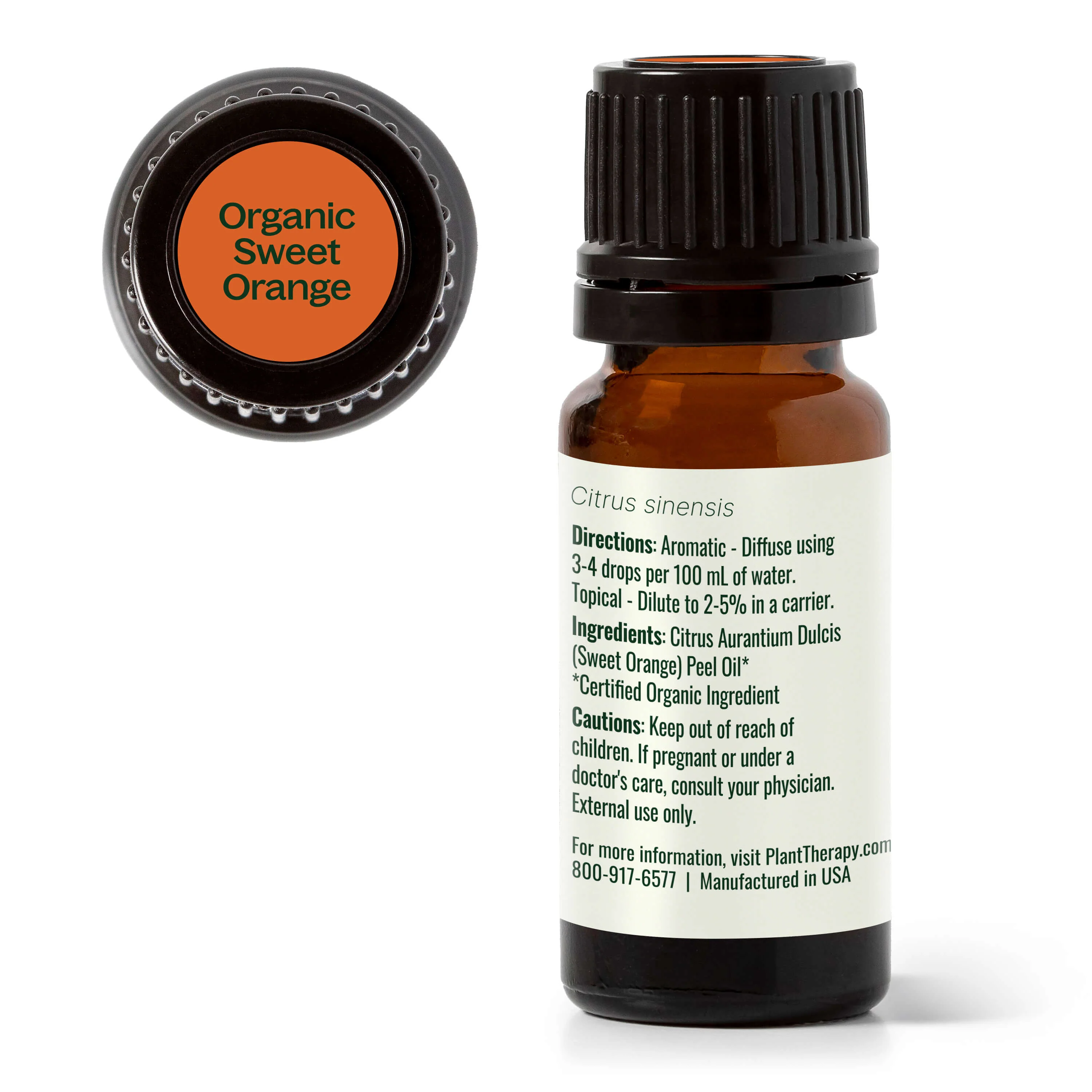 Organic Sweet Orange Essential Oil - Image 11