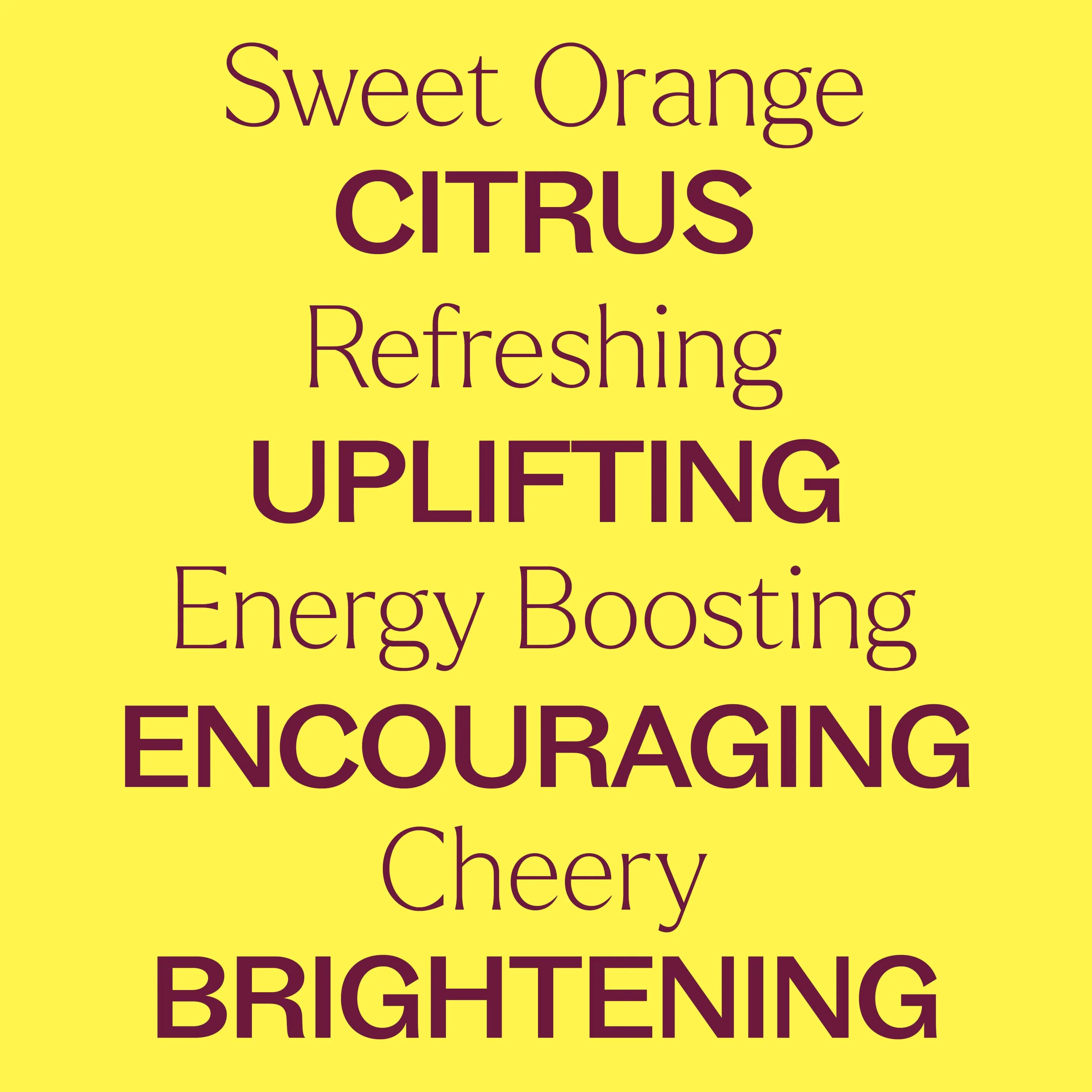 Organic Sweet Orange Essential Oil - Image 3