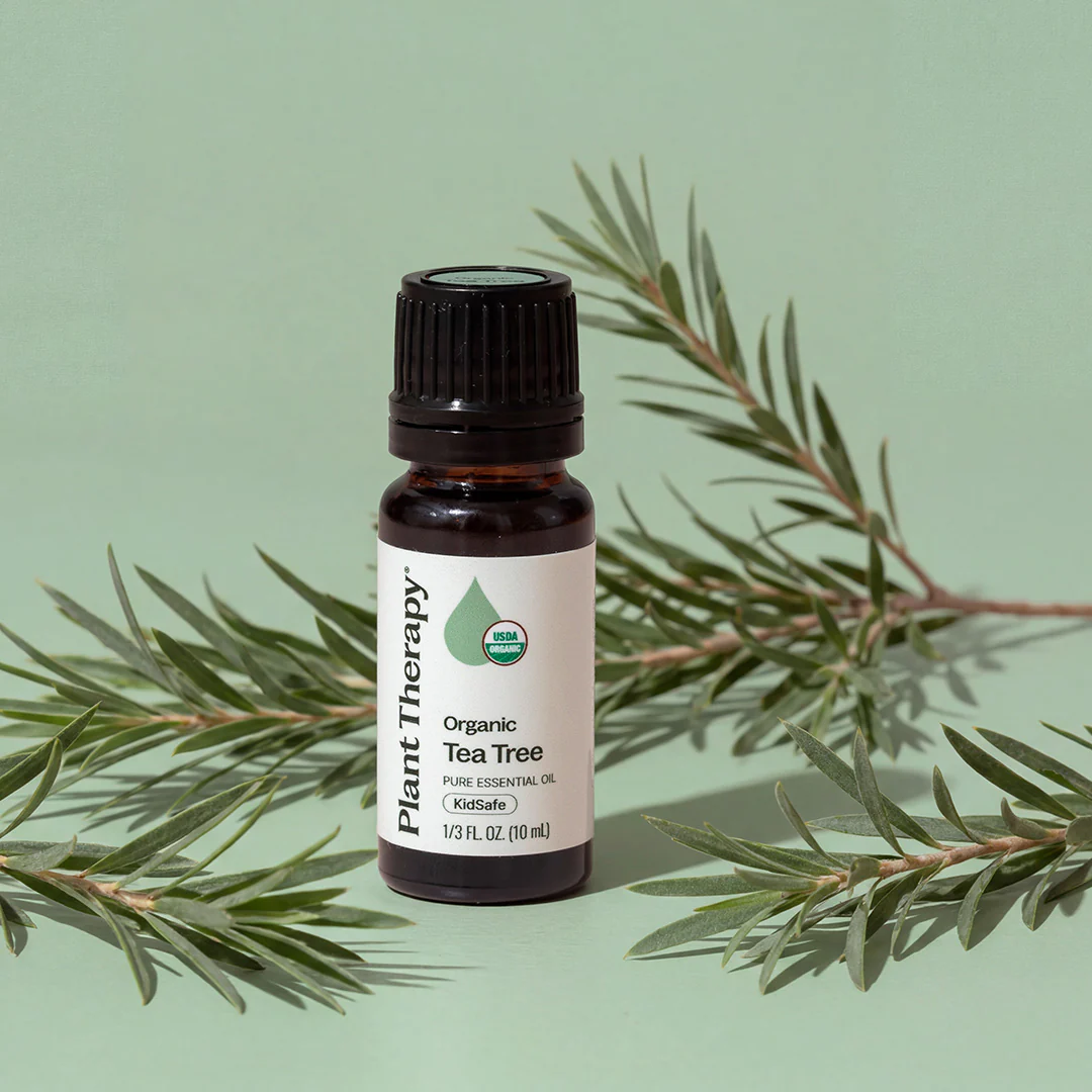 Organic Tea Tree Essential Oil - Image 2