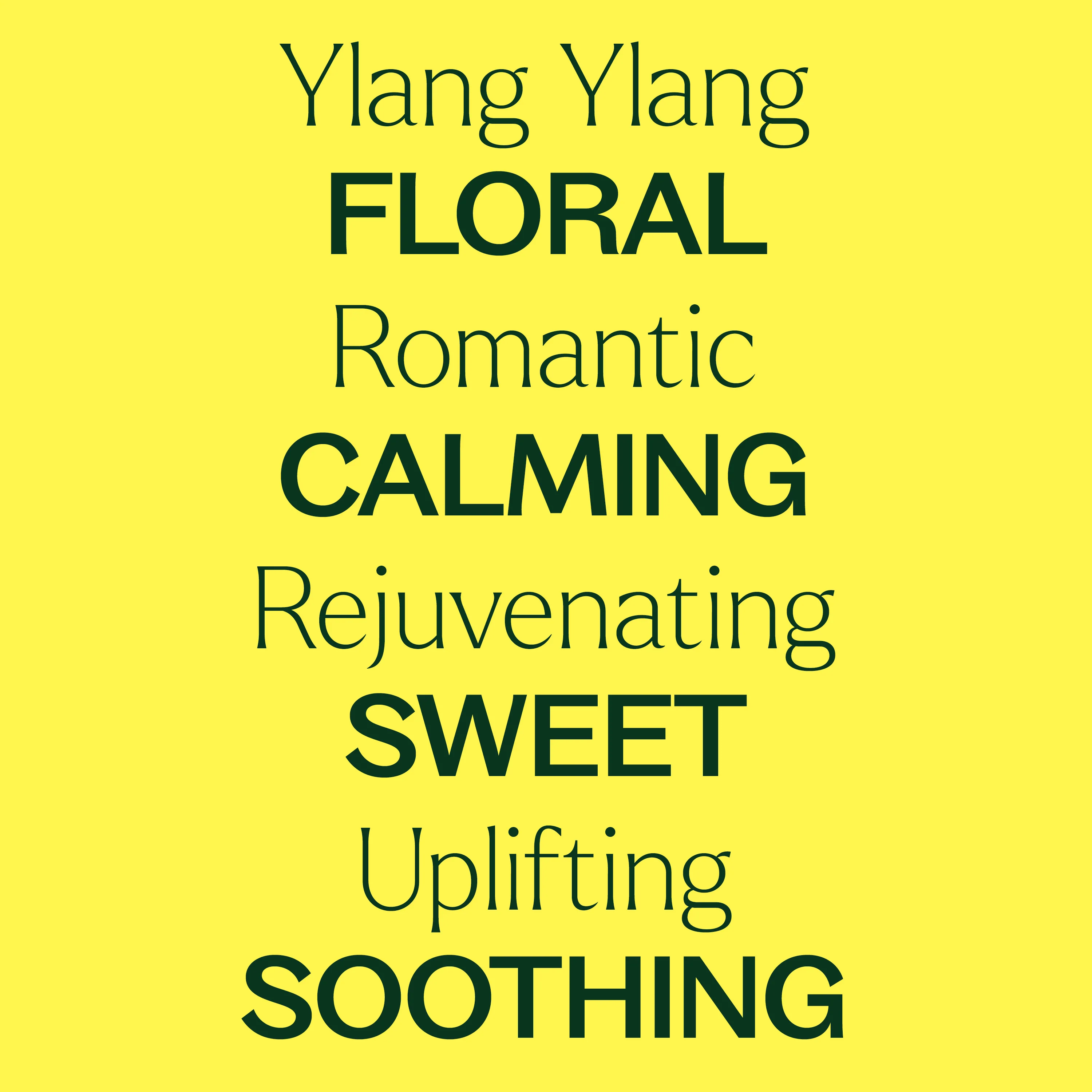 Organic Ylang Ylang Complete Essential Oil - Image 2
