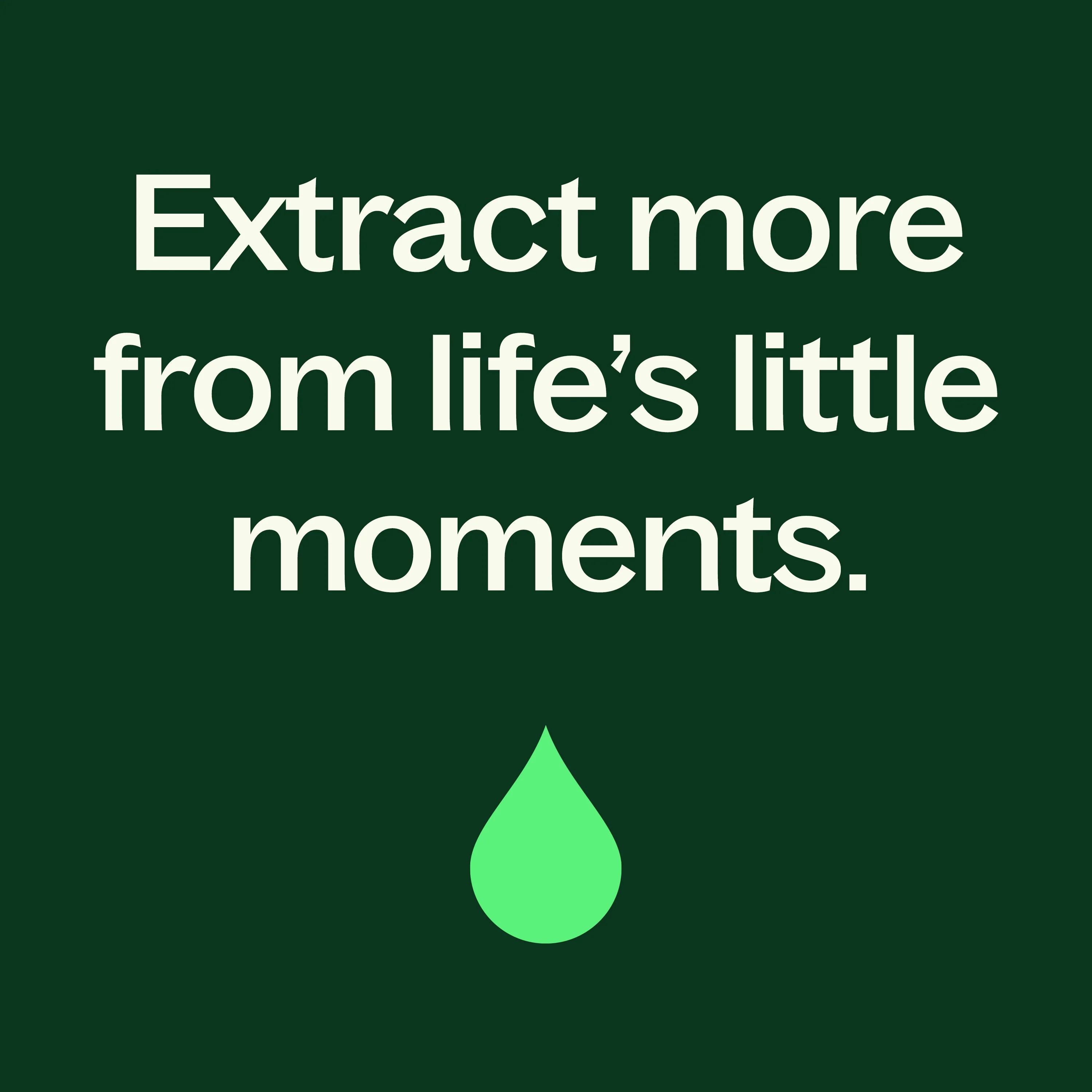 Organic Ylang Ylang Complete Essential Oil - Image 7