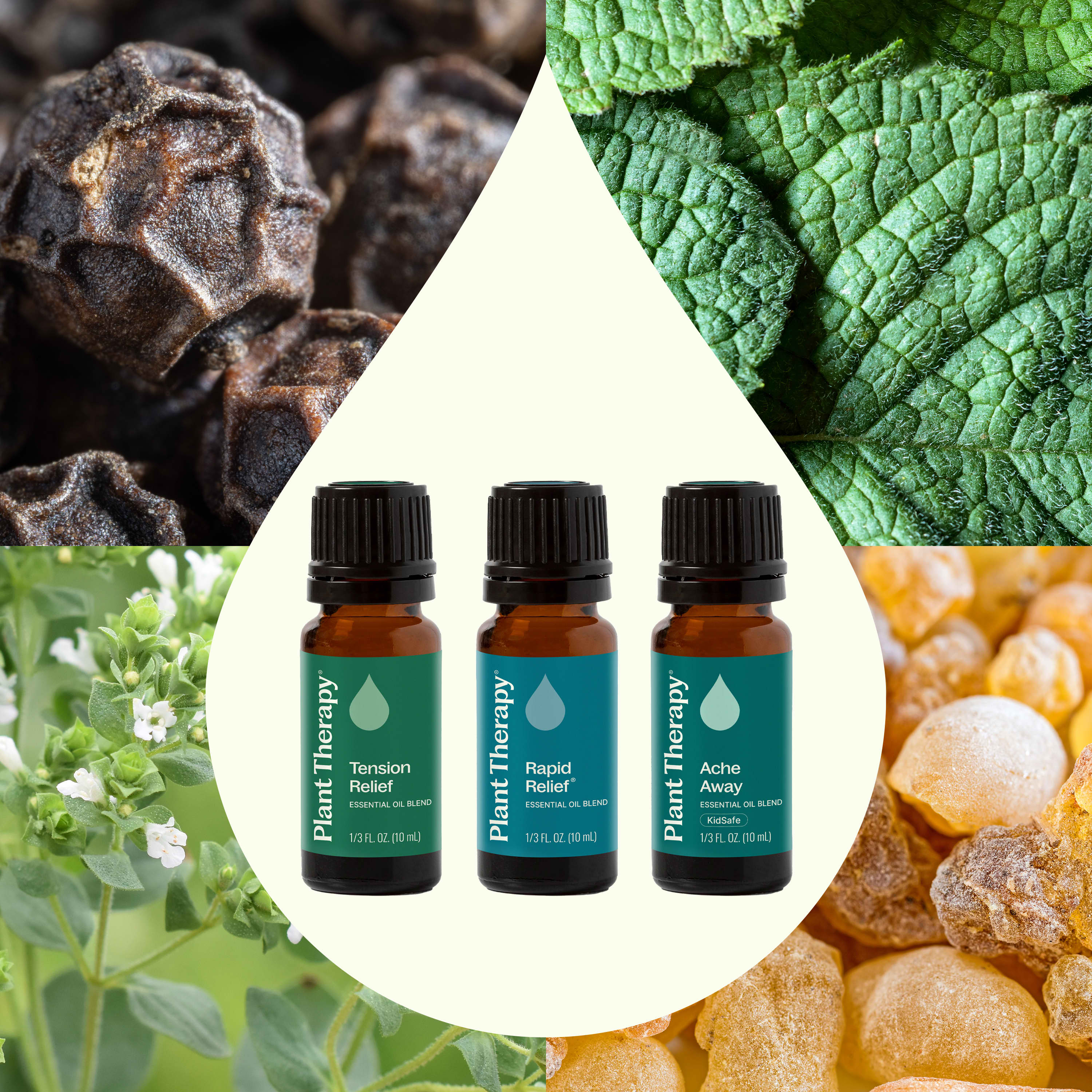Pain Support Essential Oil Blend Set - Image 2