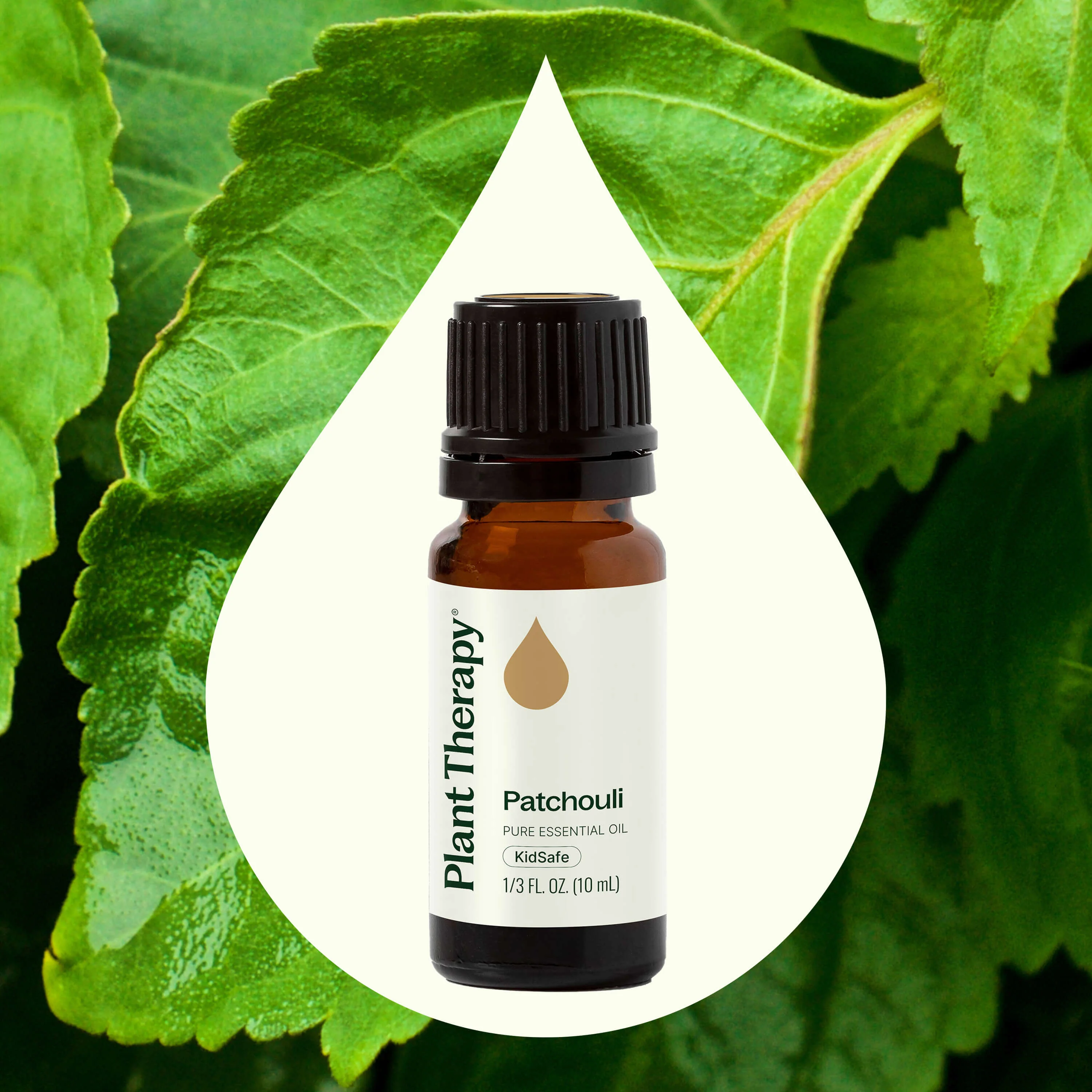 Patchouli Essential Oil - Image 5