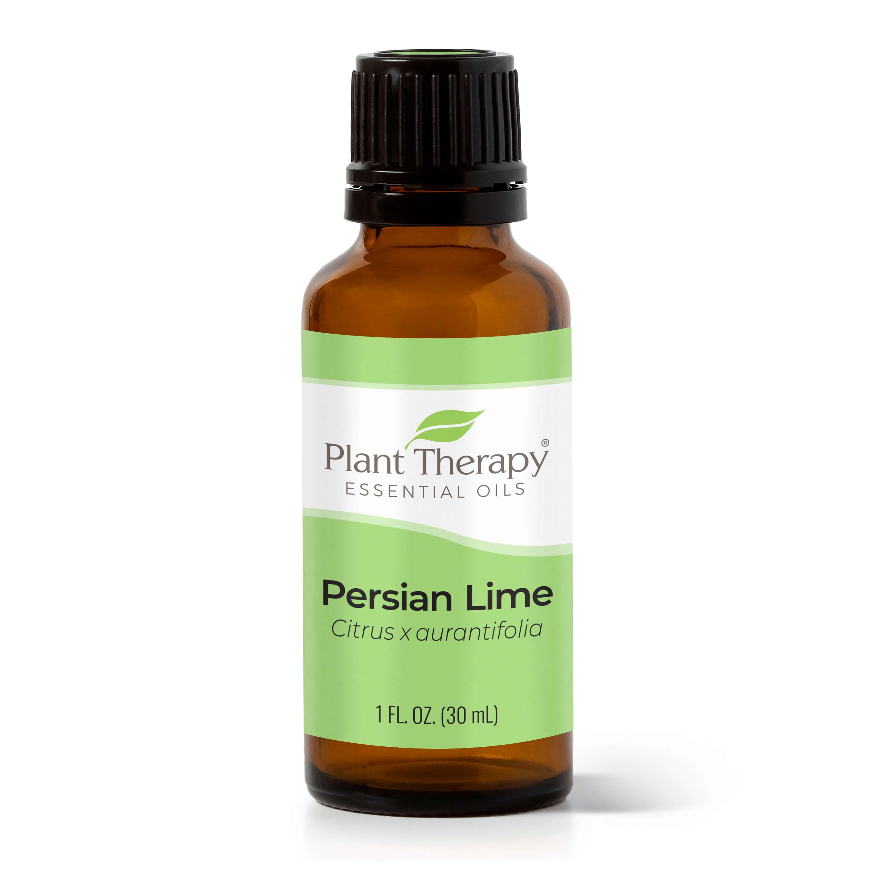 Persian Lime Essential Oil - Image 12
