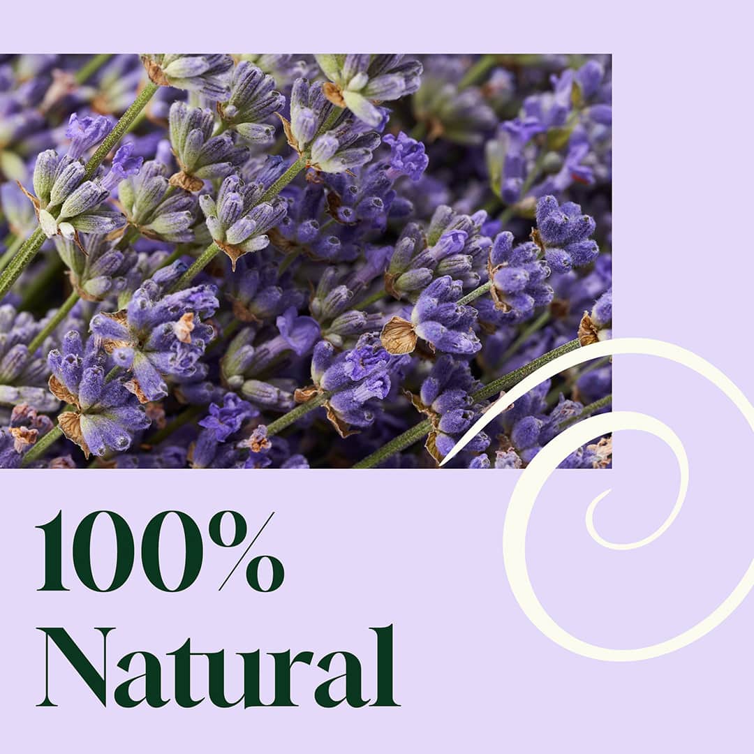 Blissful Dreams Lavender Pillow Spray - Image 5