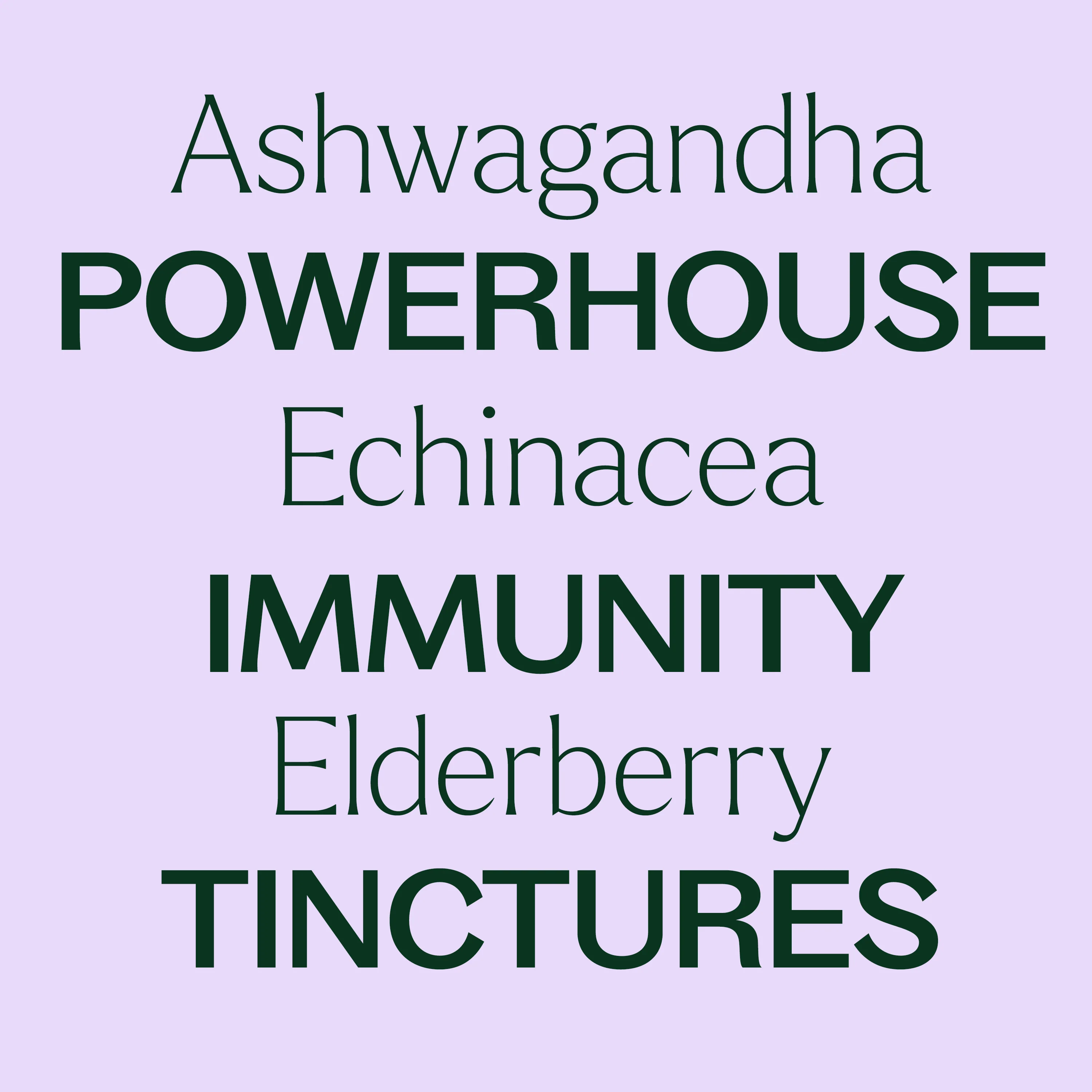 Powerhouse Immunity Tincture Trio Set - Image 3