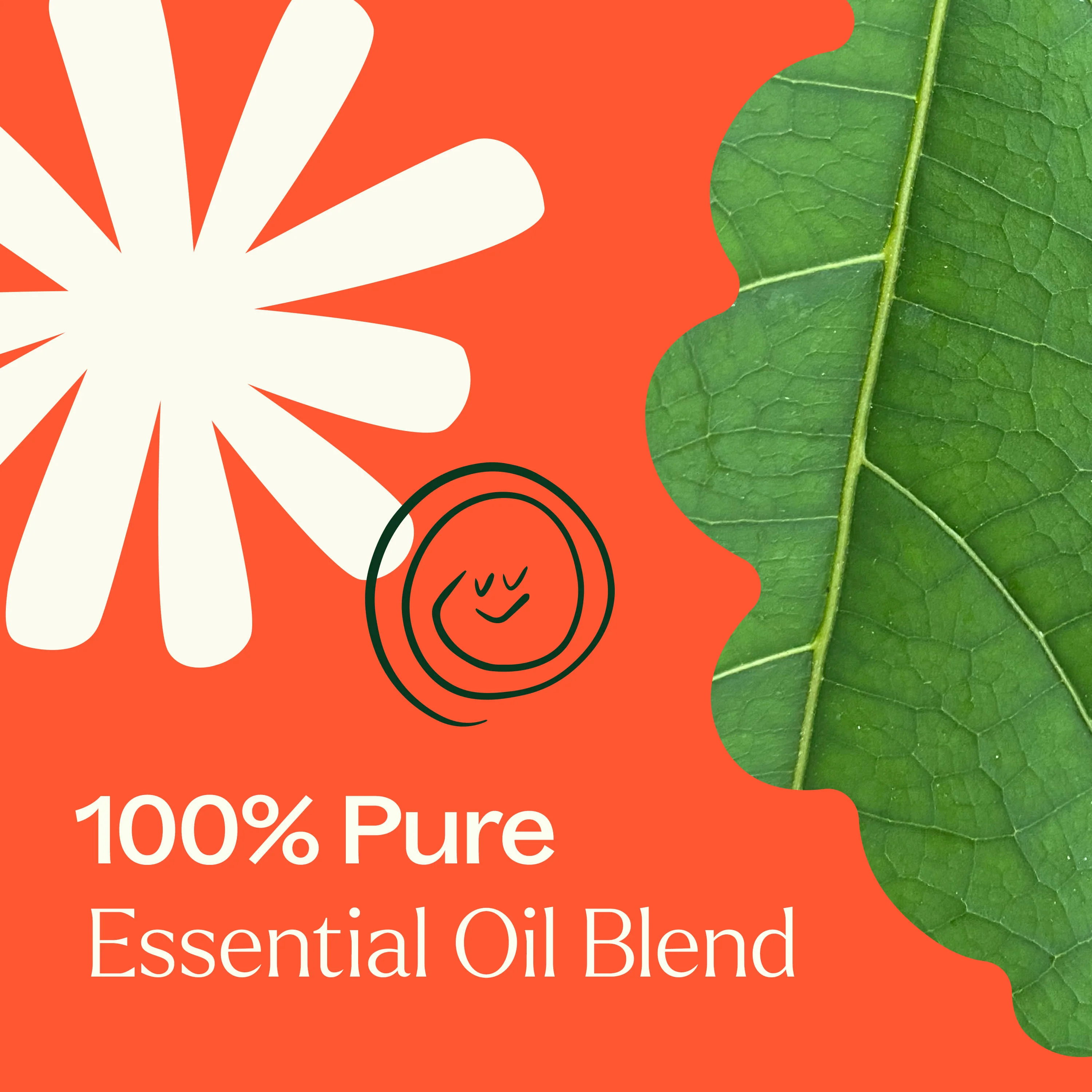 Rapid Relief Essential Oil Blend - Image 4