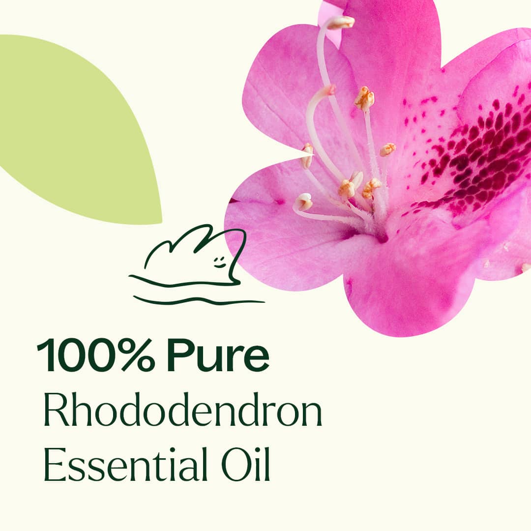Rhododendron Essential Oil - Image 4