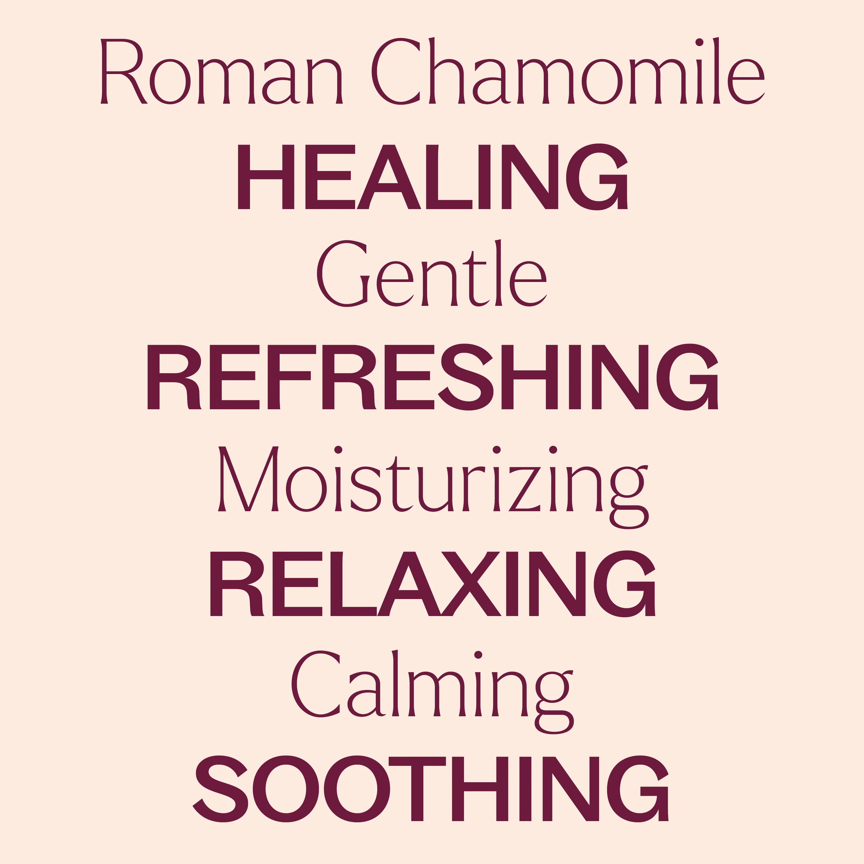 Roman Chamomile Hydrosol - Image 6