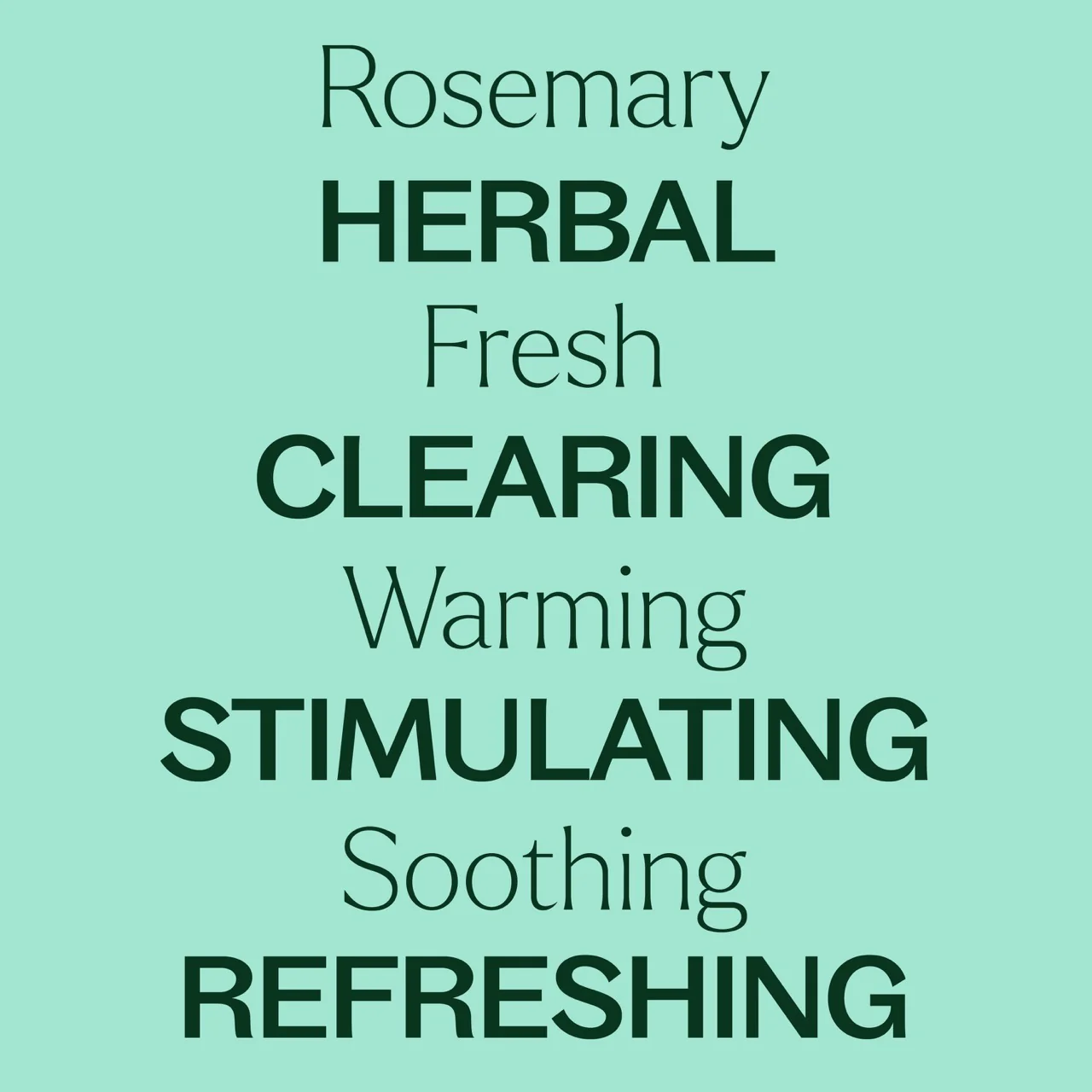 Rosemary 1,8-Cineole Essential Oil - Image 4