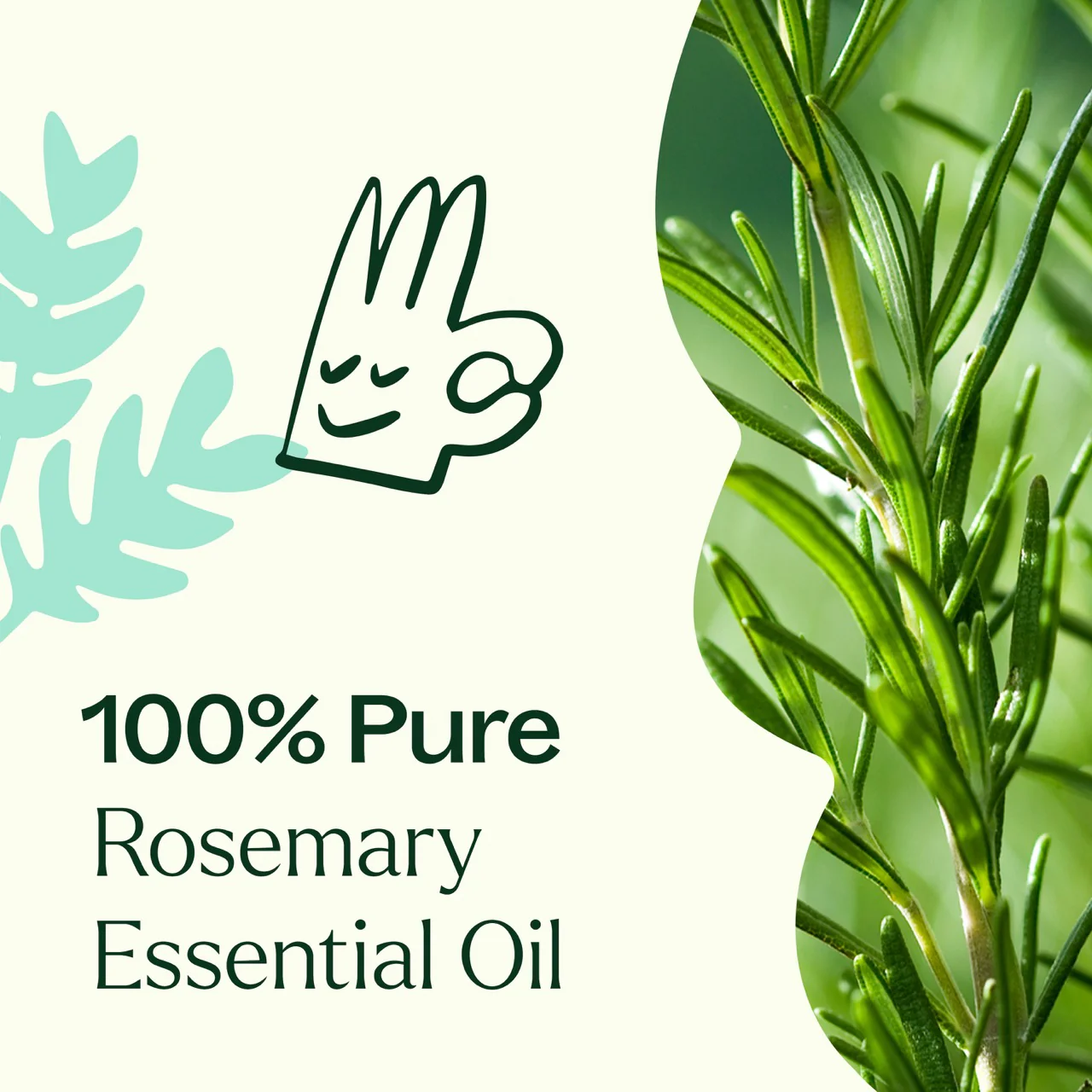 Rosemary 1,8-Cineole Essential Oil - Image 6