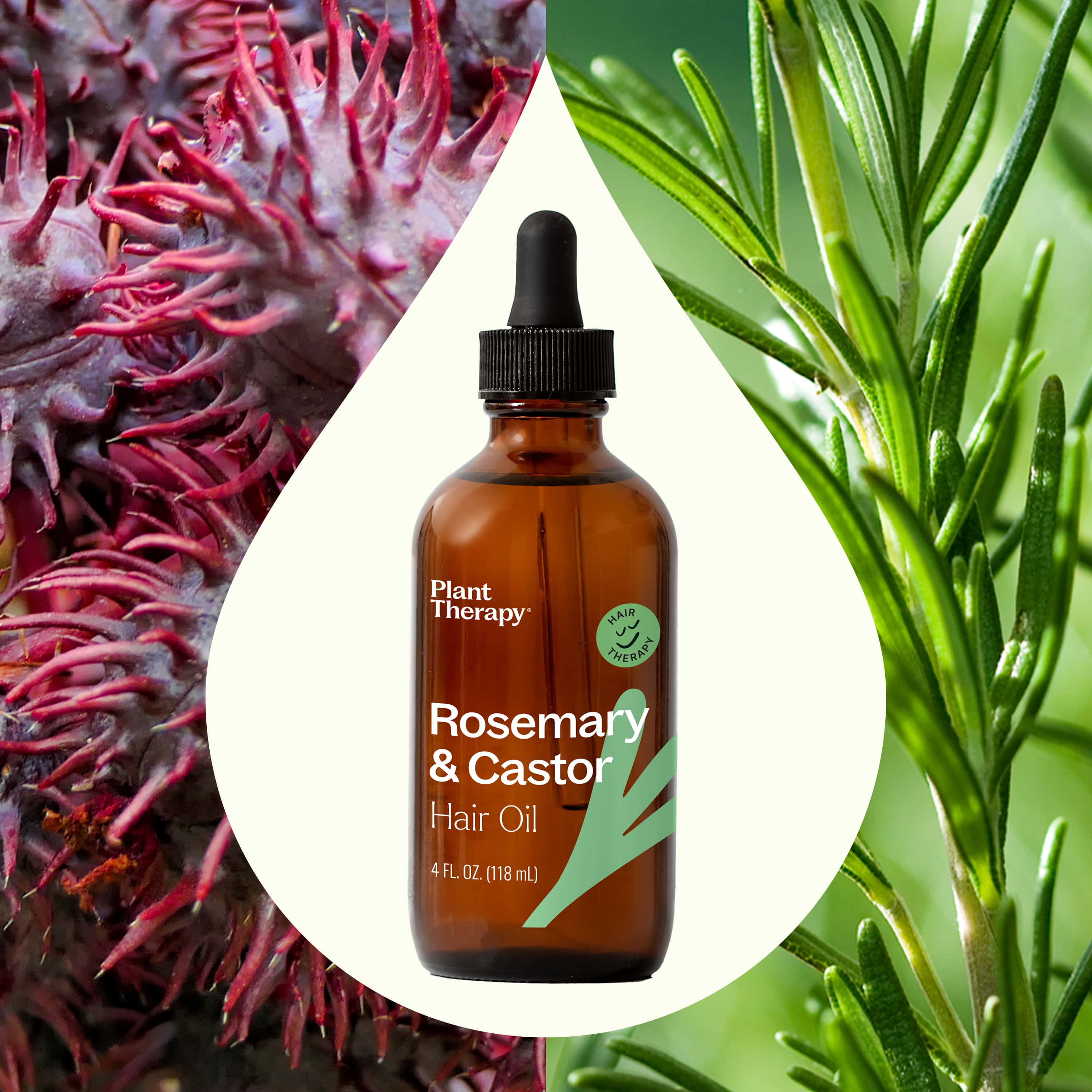 Rosemary & Castor Hair Oil - Image 7