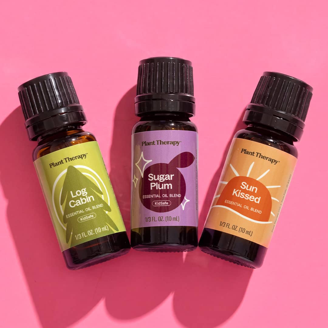 Seasonal Favorites Trio - Image 4