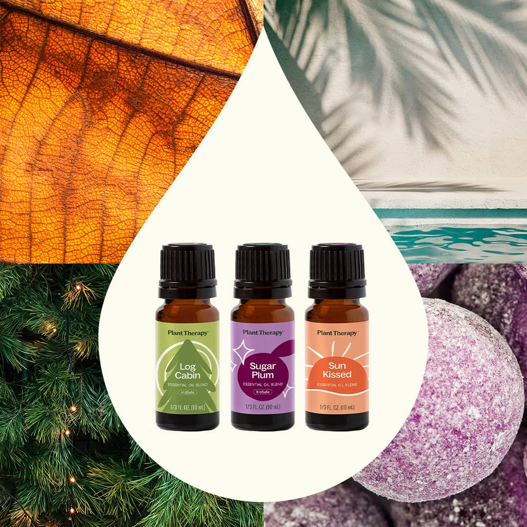Seasonal Favorites Trio - Image 5