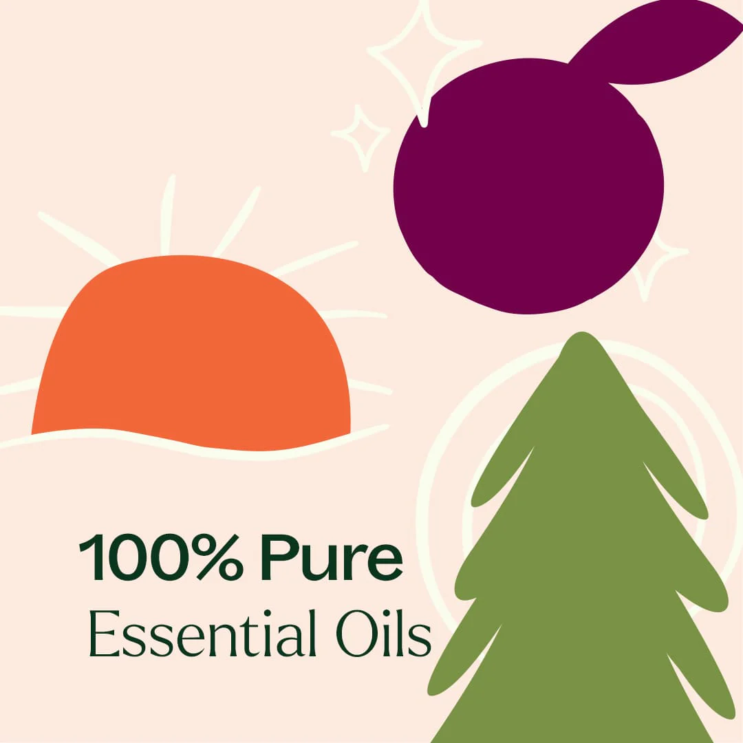 Seasonal Favorites Trio - Image 7
