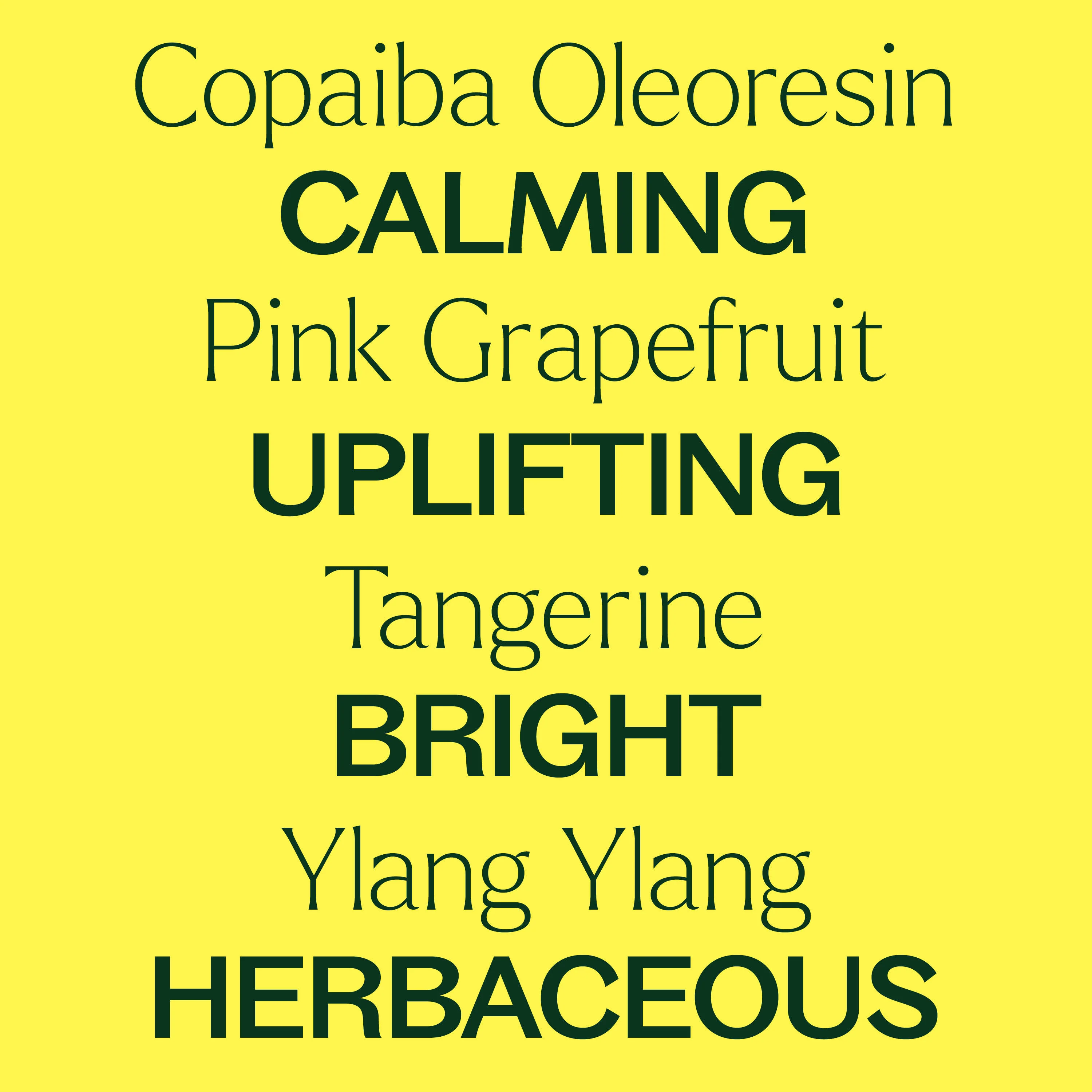 Self-Care Essential Oil Blend - Image 6