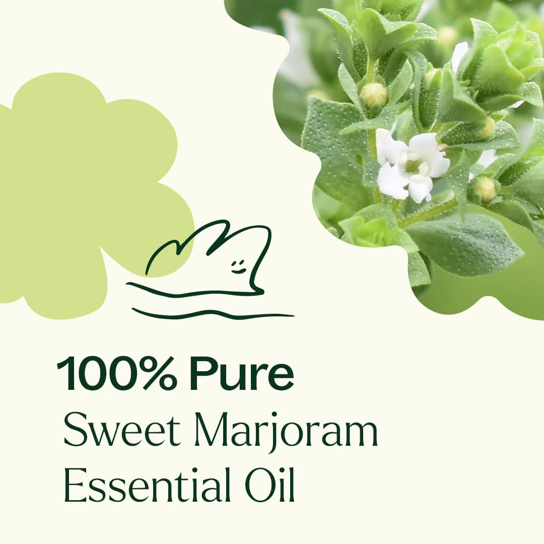 Sweet Marjoram Essential Oil - Image 4