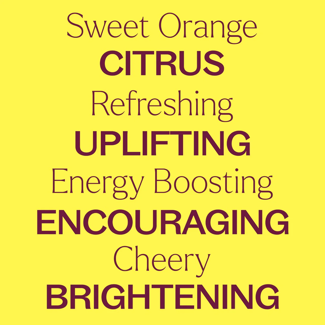 Sweet Orange Essential Oil - Image 5